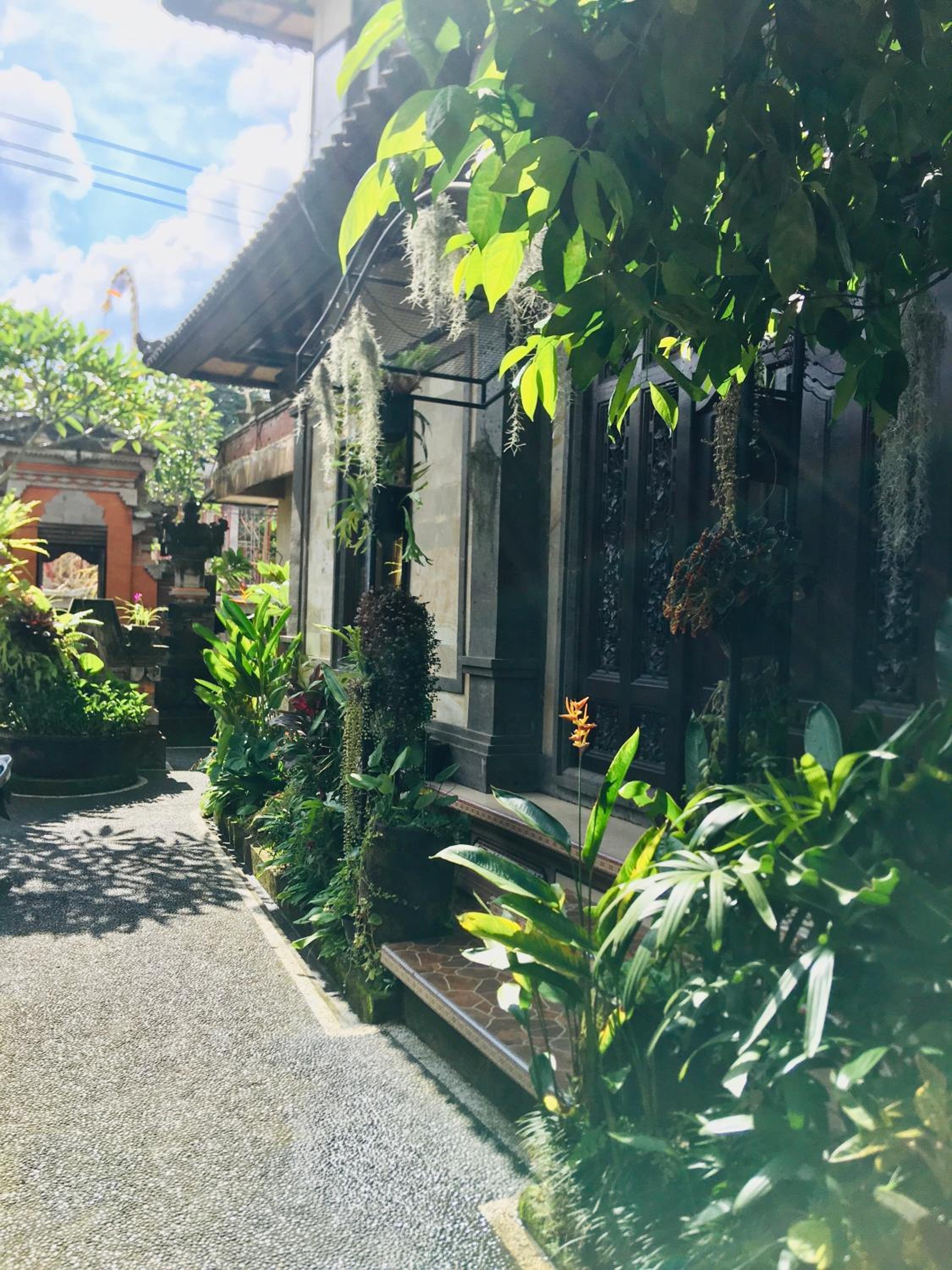 Wina Ubud B&B