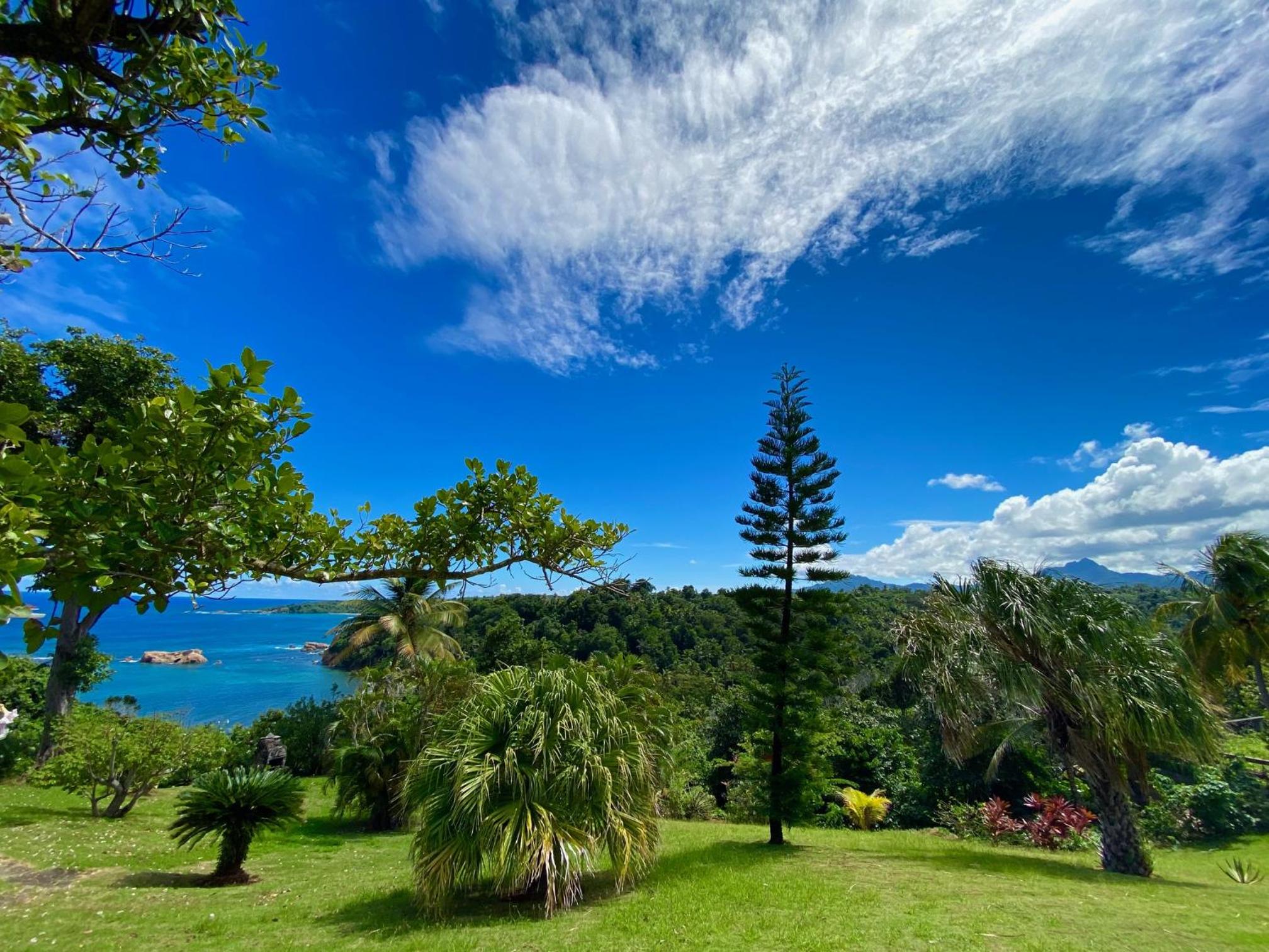 Sea Cliff Eco-Cottages & Gin Distillery view 5
