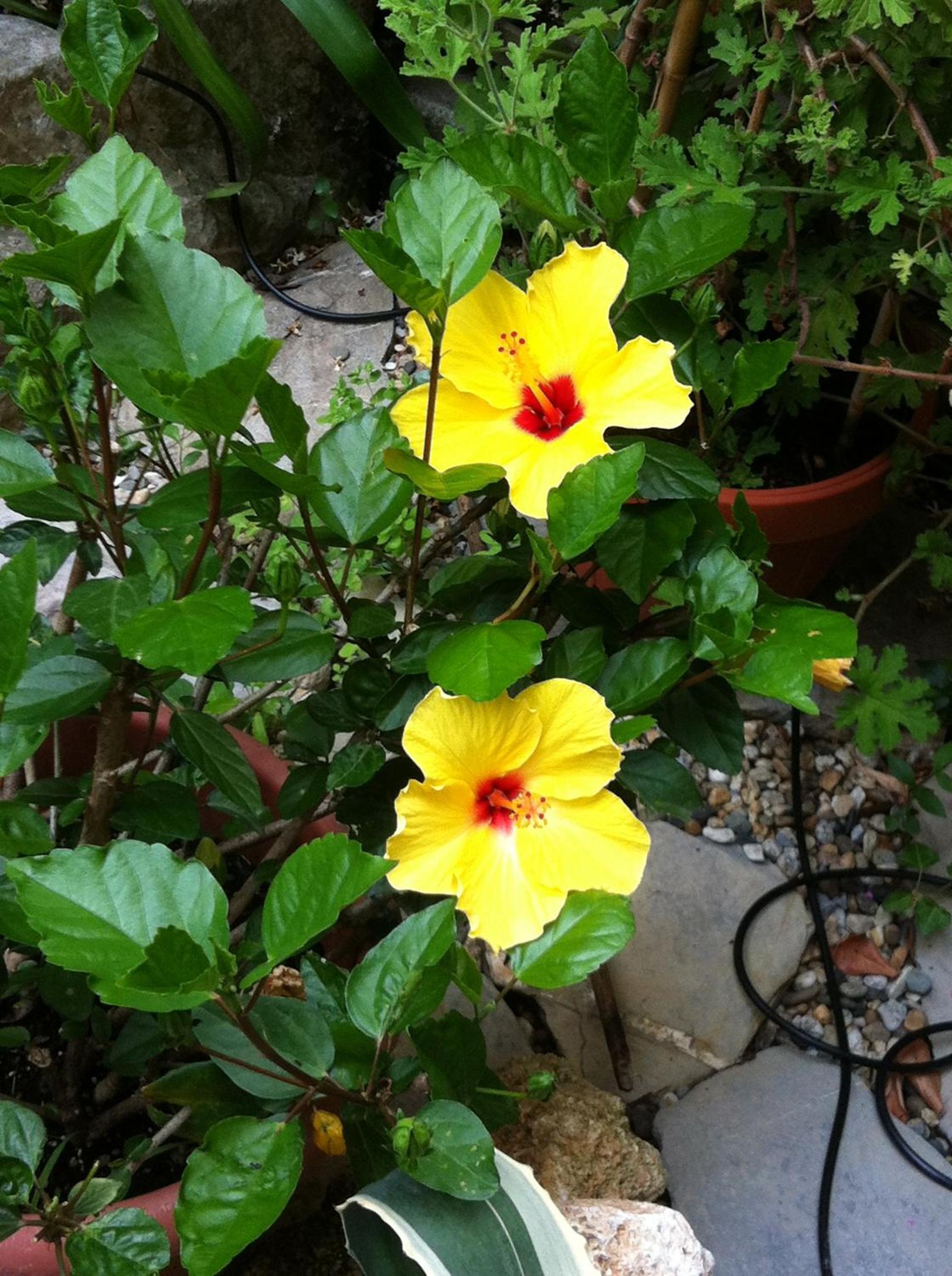 Photo 33