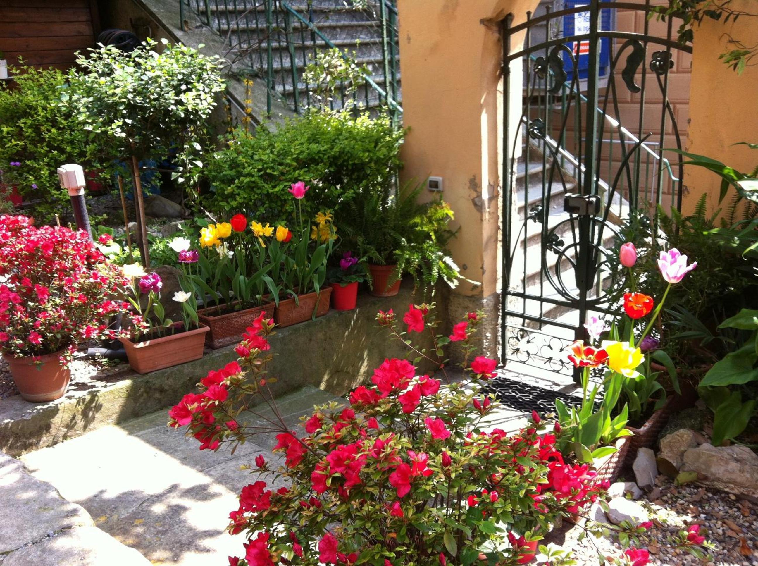Photo 25