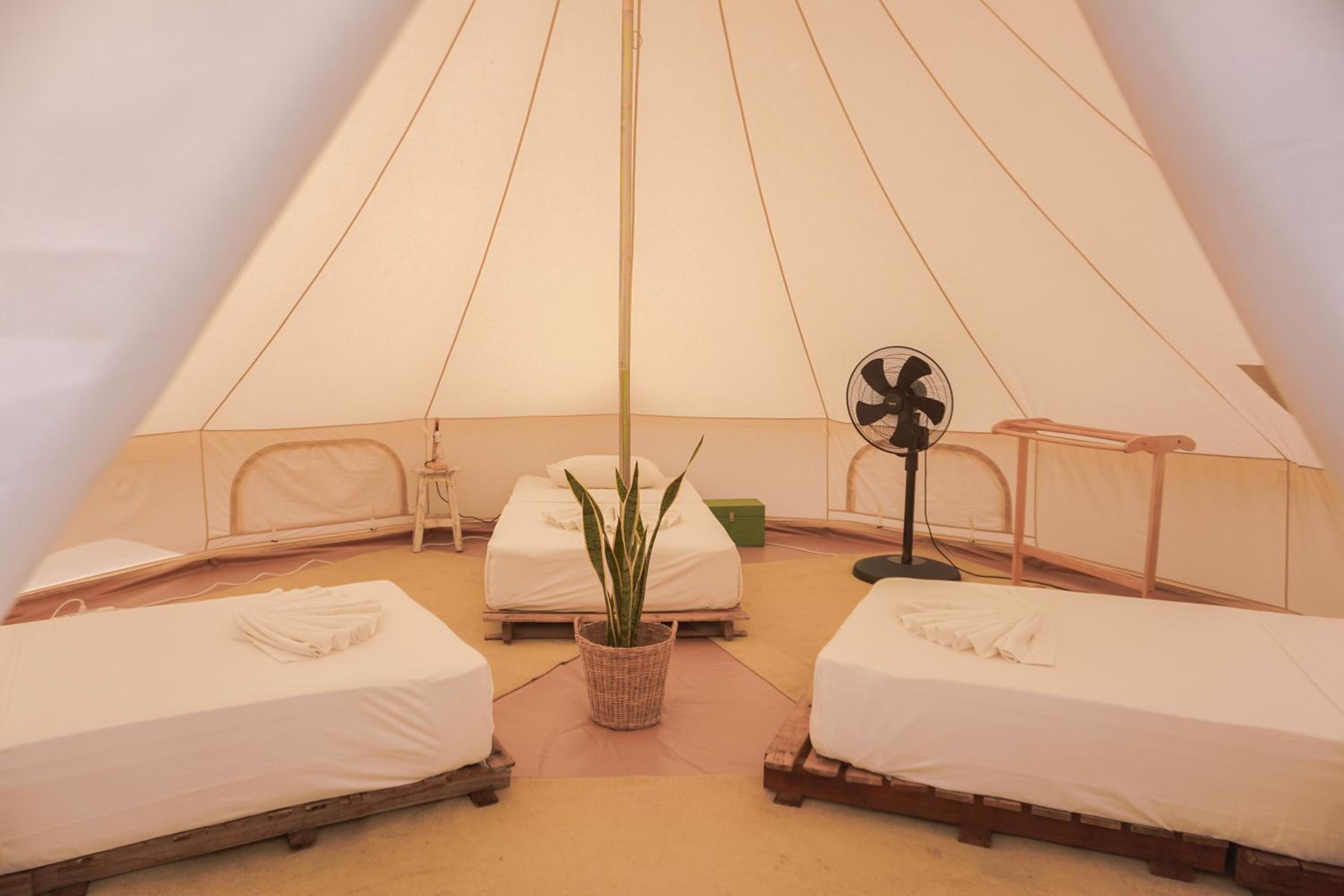 Roost Glamping - SHA Certified, photo 90