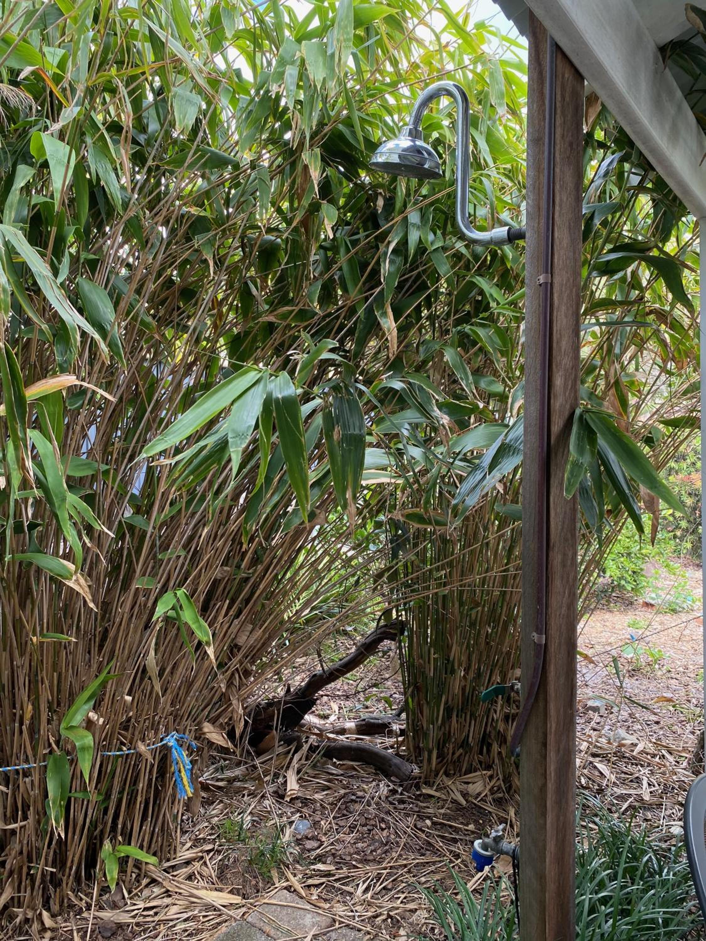 Allamanda House, 3 Willow Street