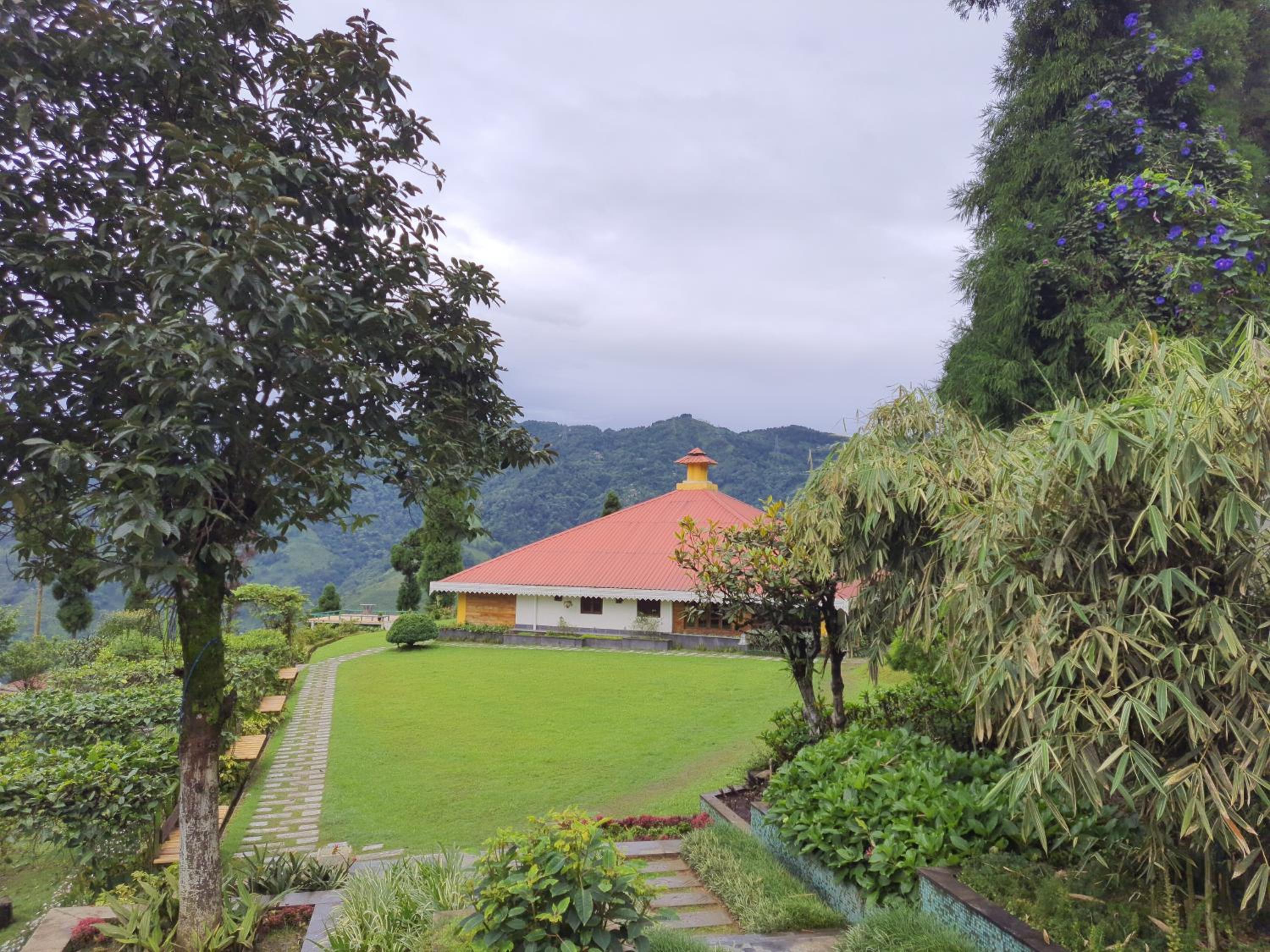 garden
