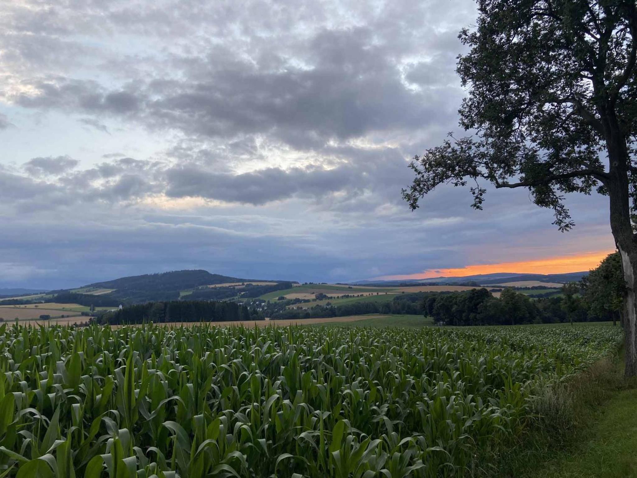 Ferienhaus AUSZEIT