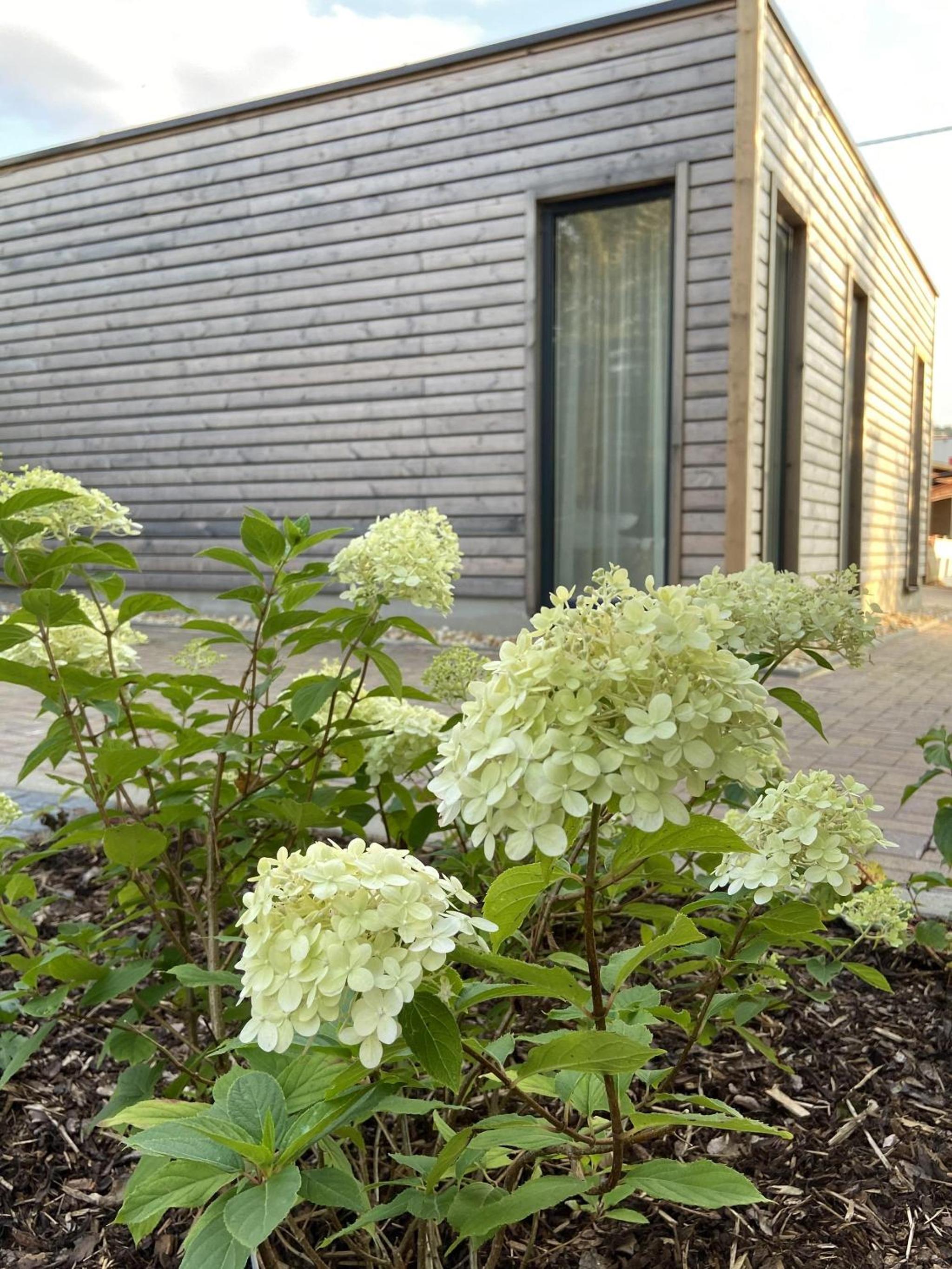 Ferienhaus AUSZEIT