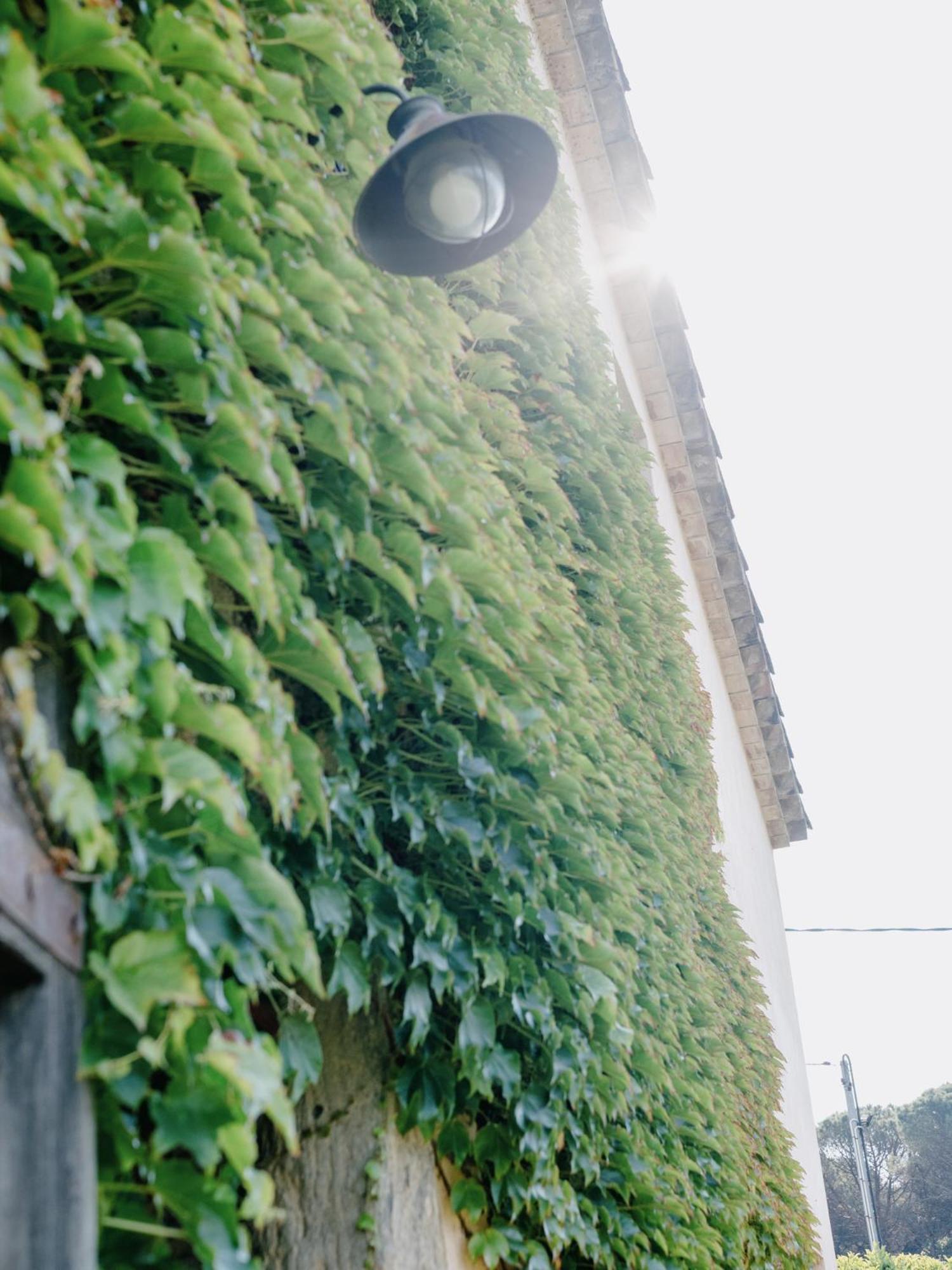Photo 50