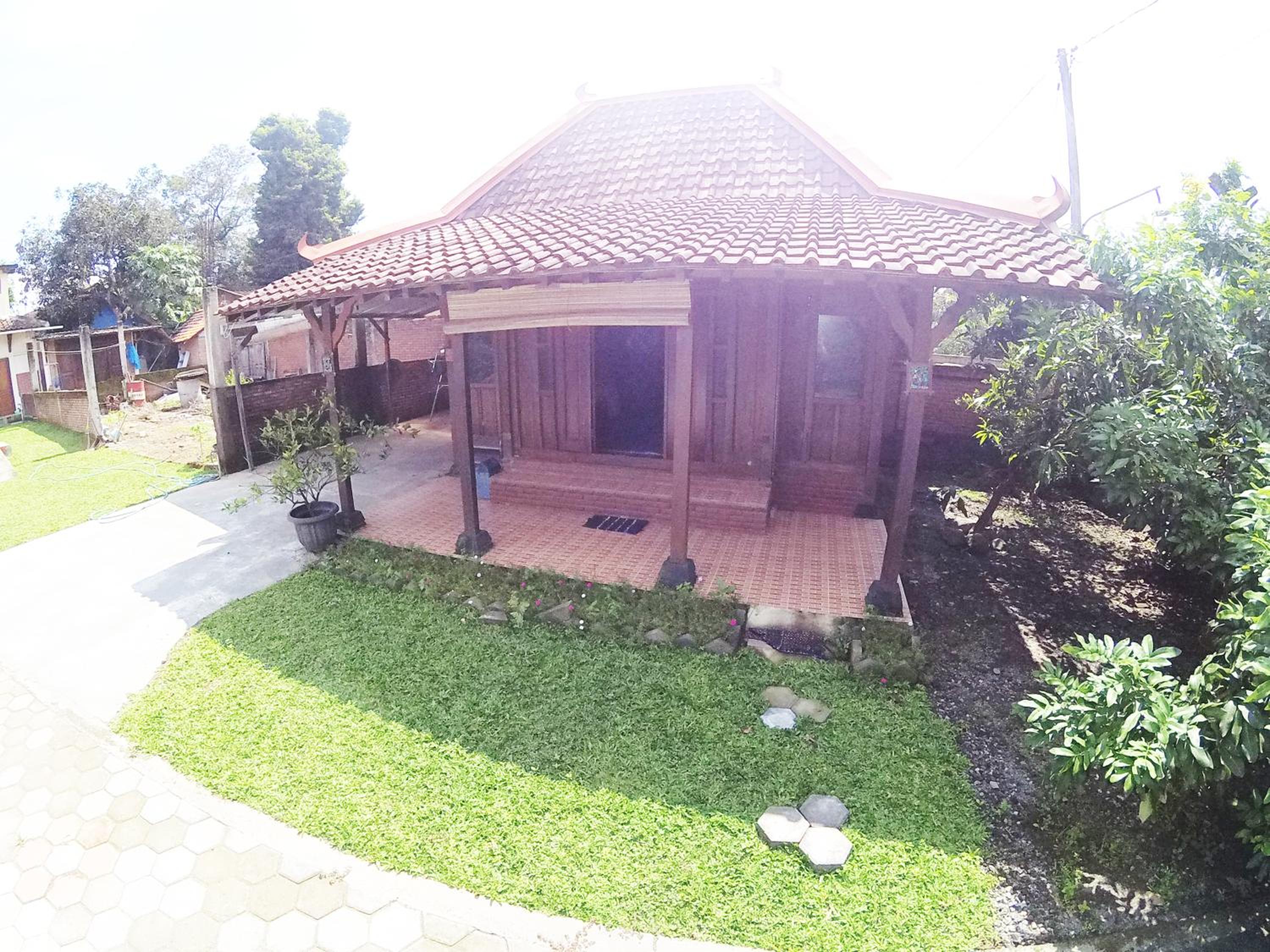 Photo 13