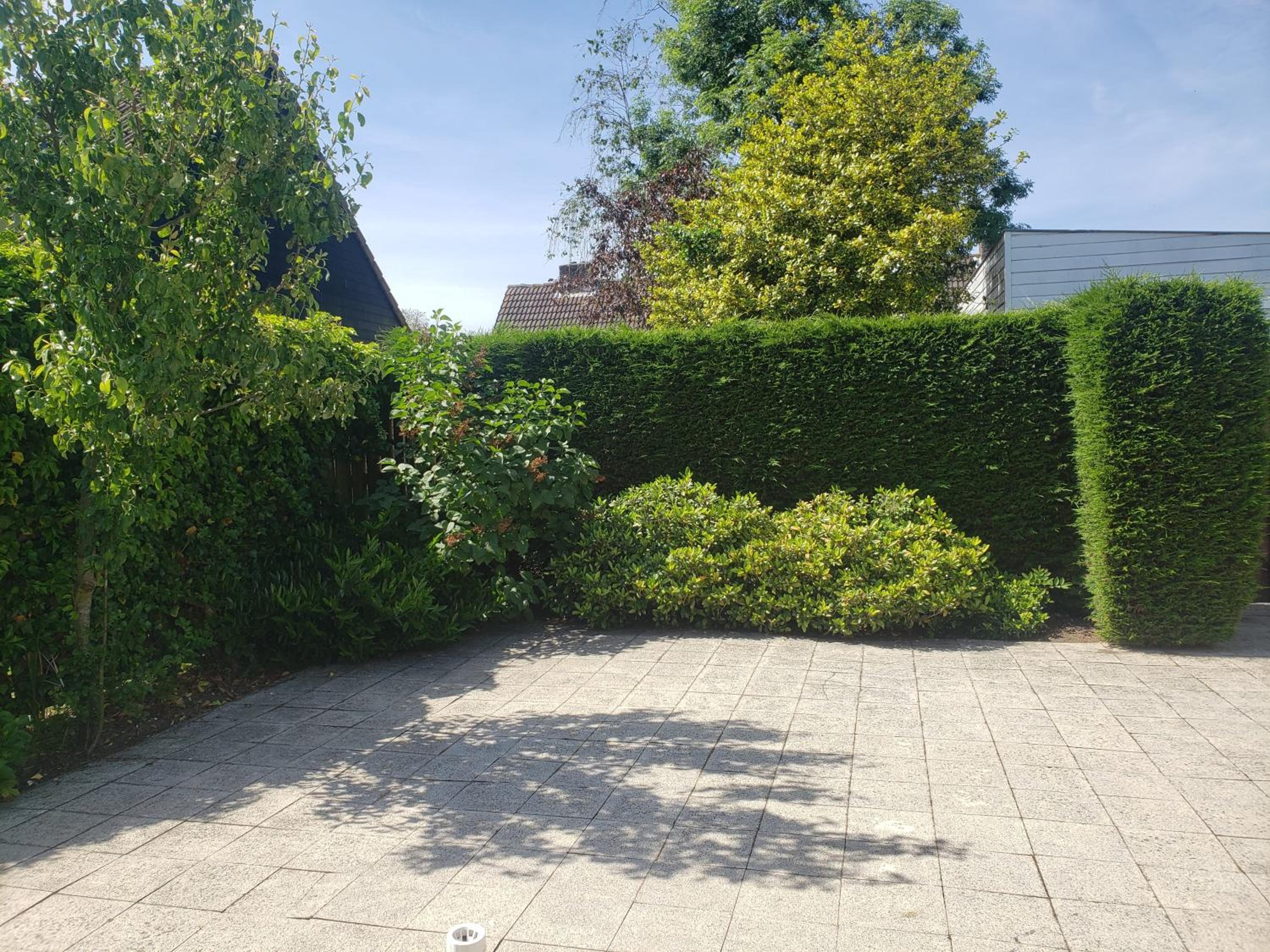 Photo 42