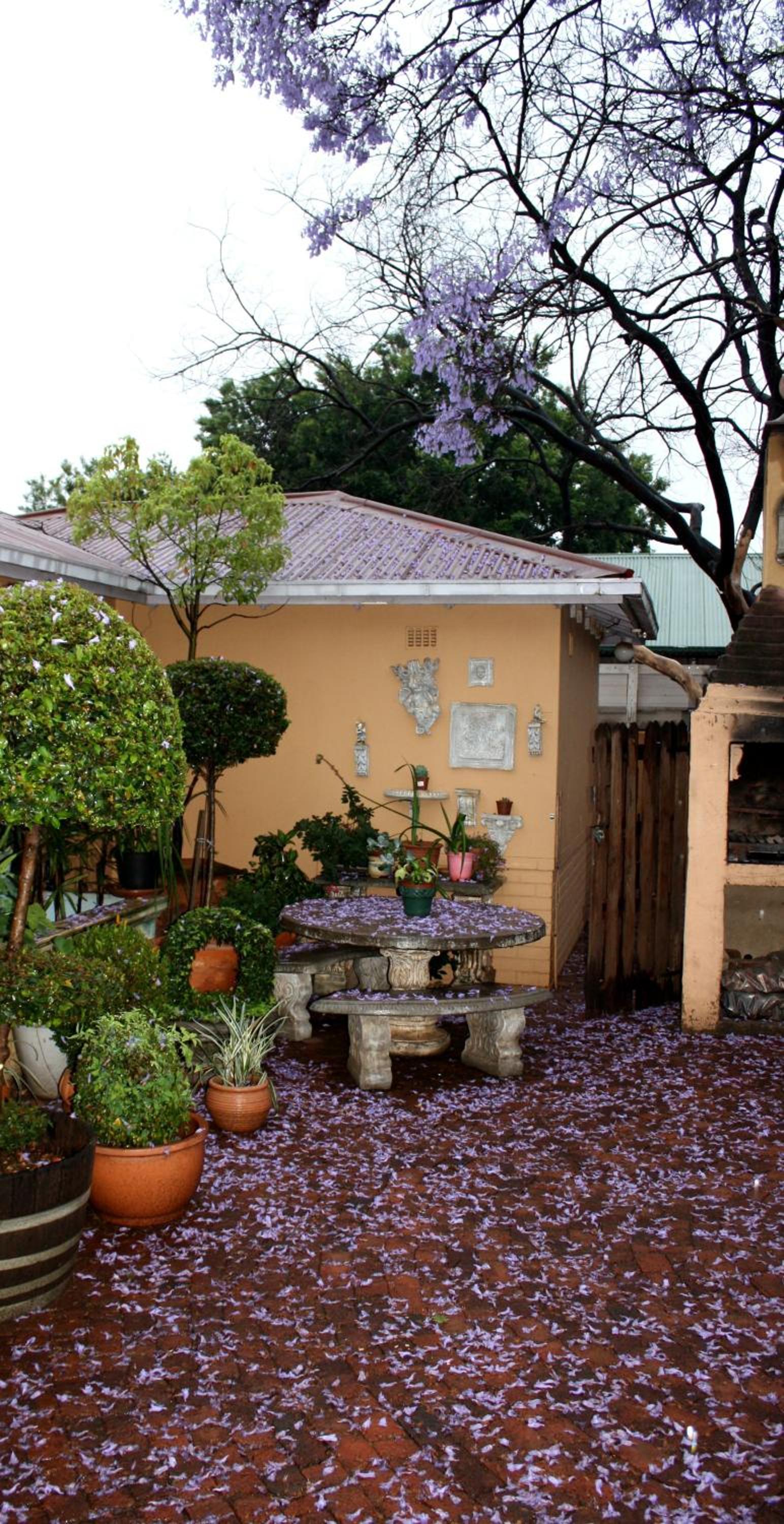 Photo 33