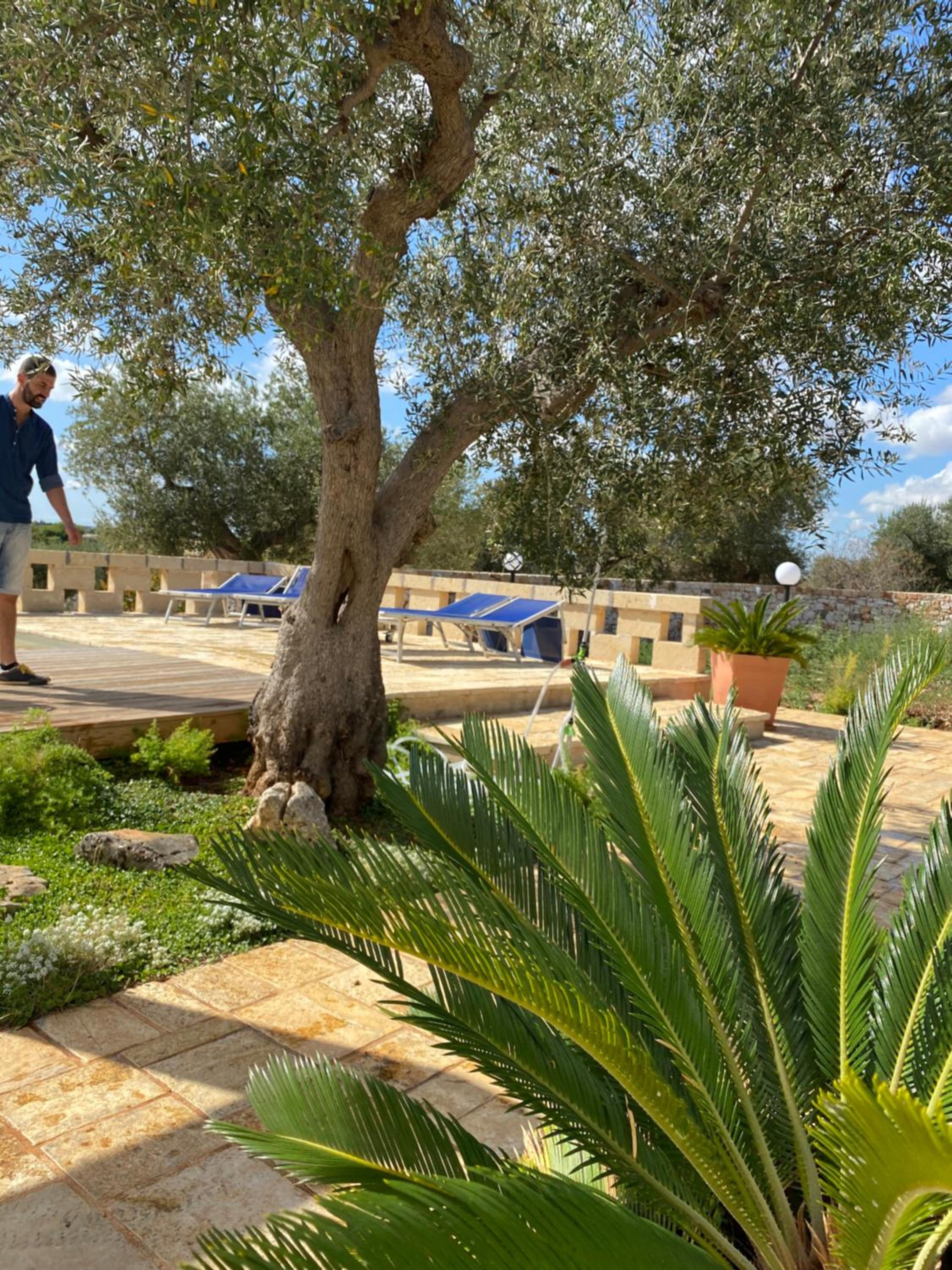 Pugliaholidayplus - LA TORRETTA