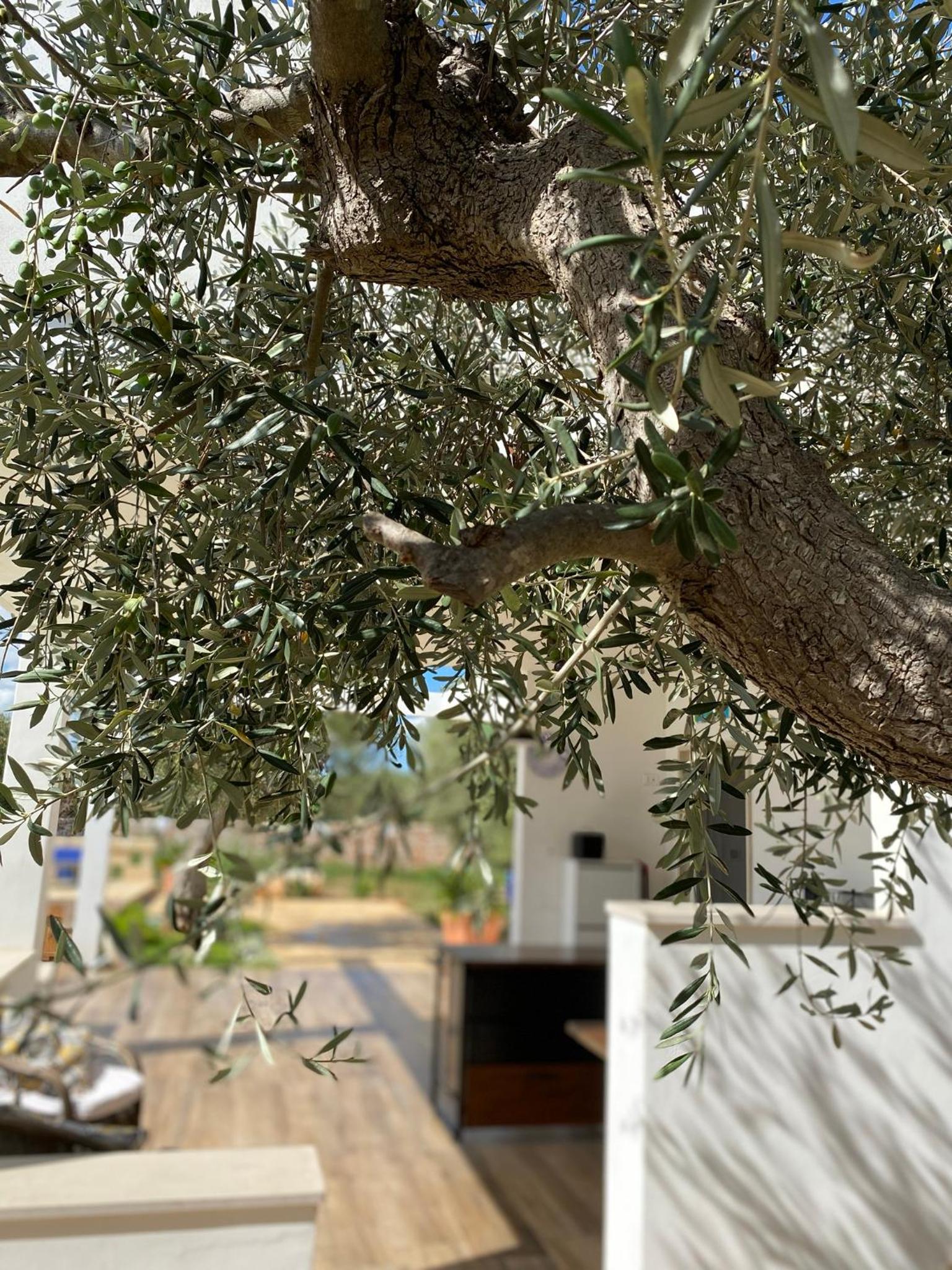 Pugliaholidayplus - LA TORRETTA