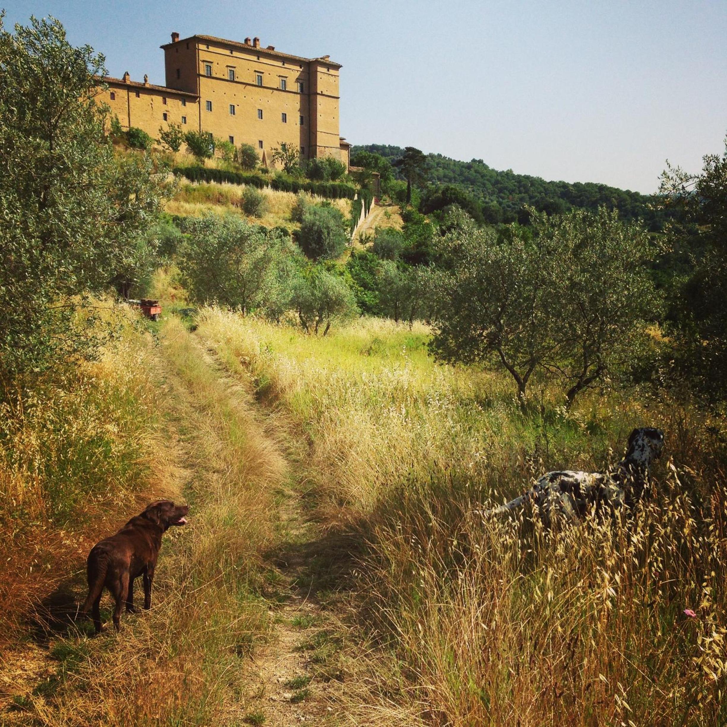 Castello Di Potentino view 3