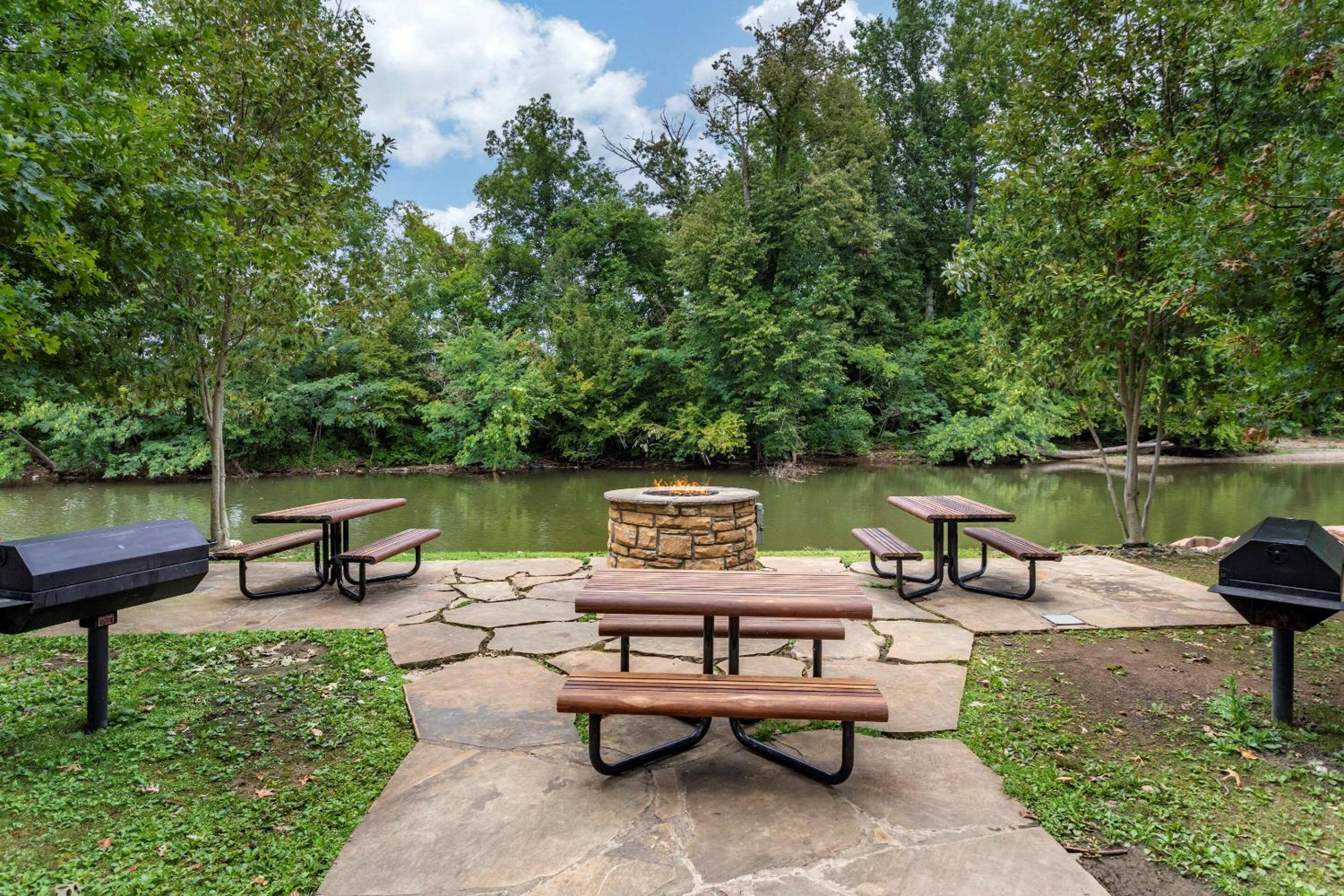 Photo 50