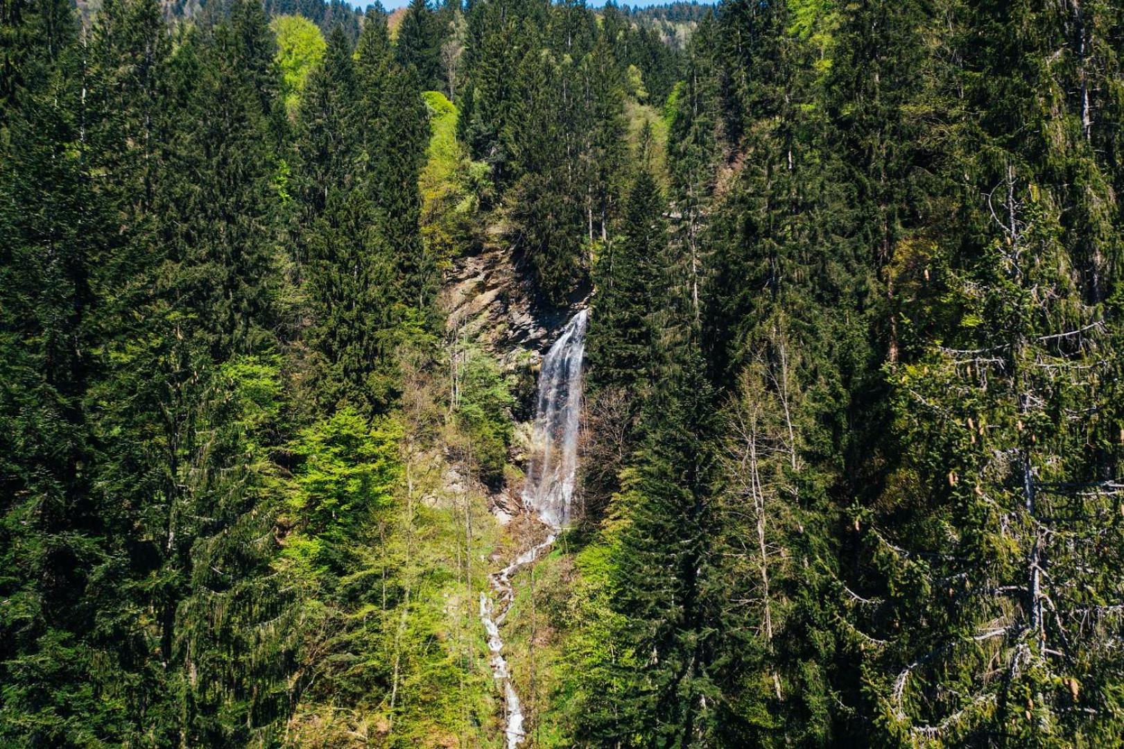 APARTMENT WALD - im Skigebiet Gerlitzen & Ossiacher See
