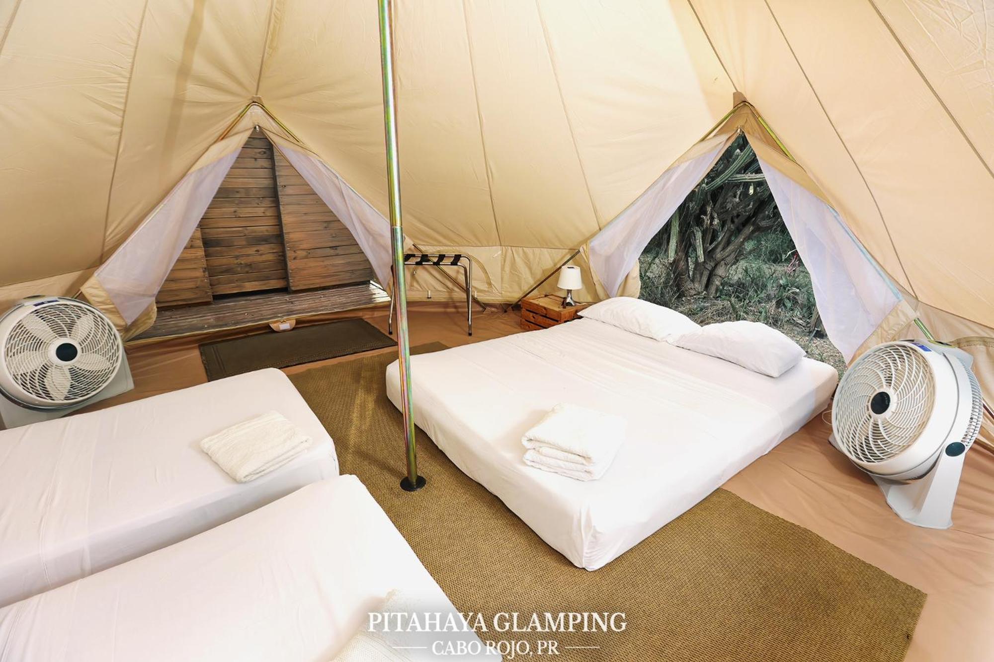 Pitahaya Glamping