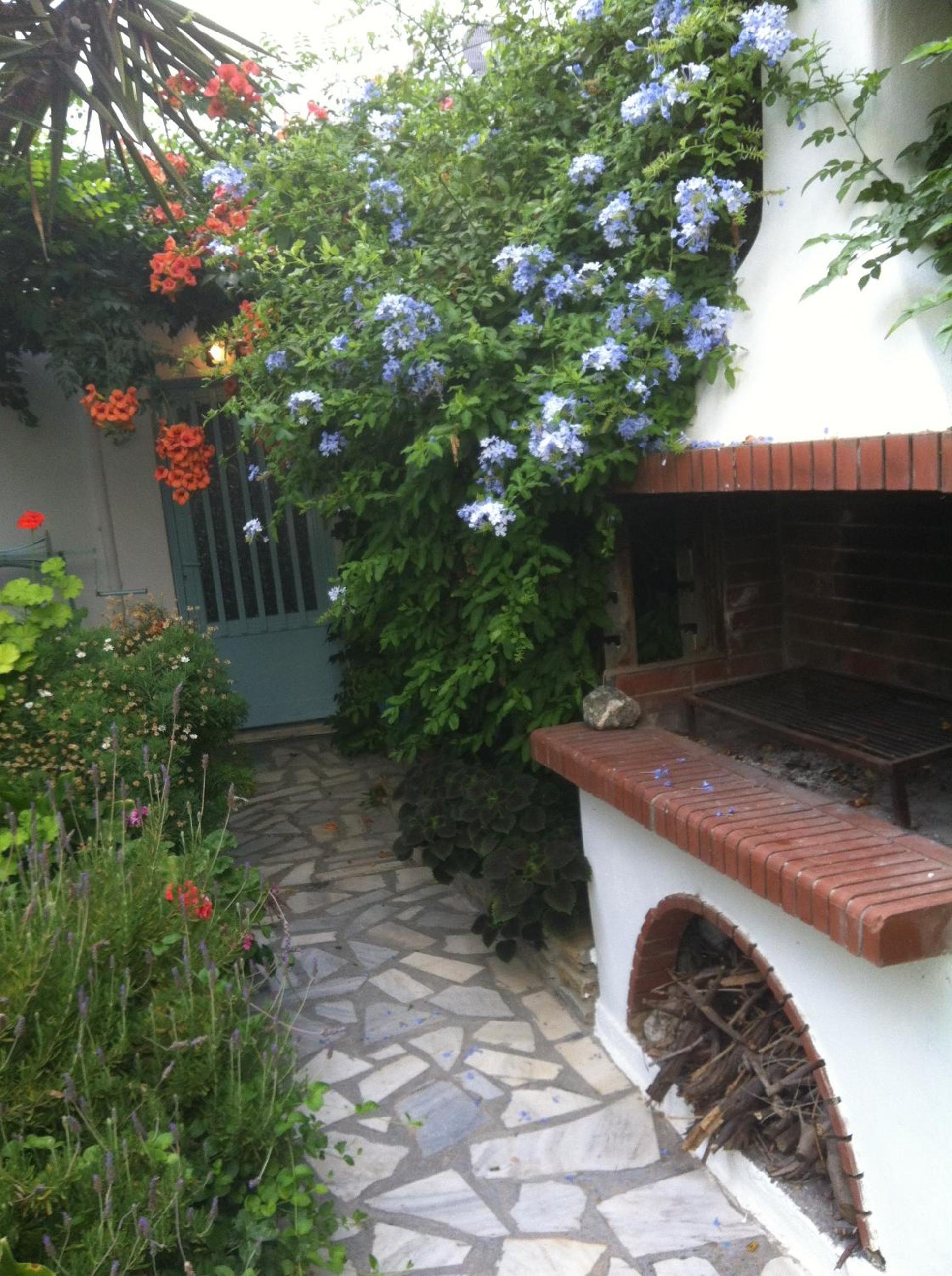 Photo 21
