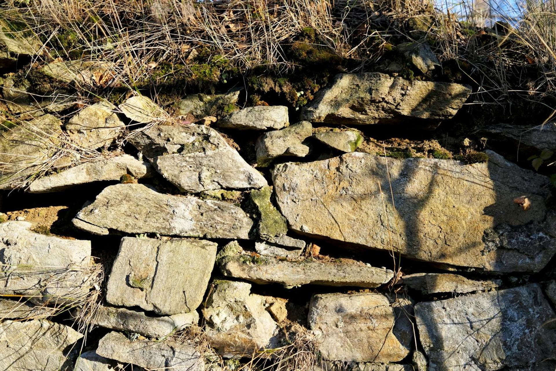 Photo 70
