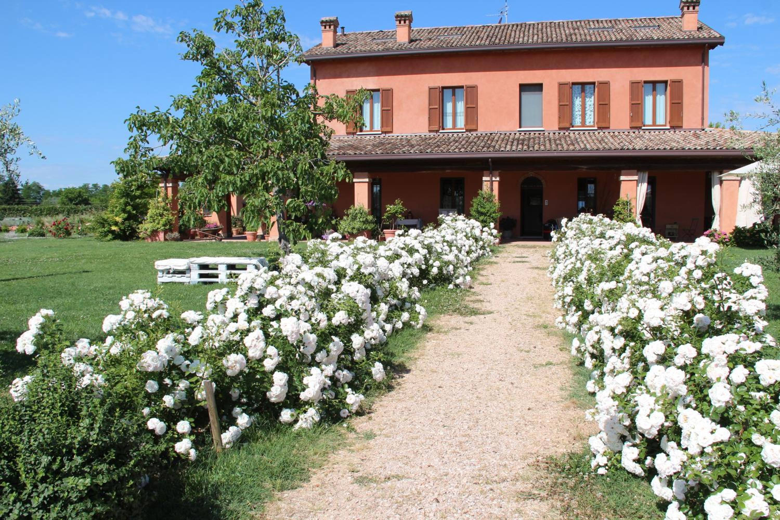 La Fornasaccia