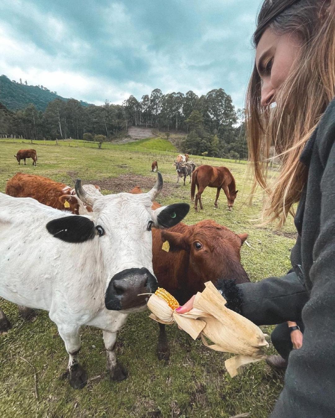Hospedagem Rural Recanto do Riacho