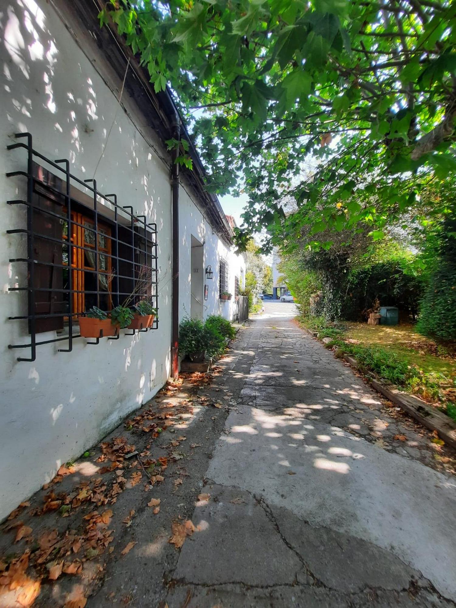 Errotazar apartamento rural P view 4
