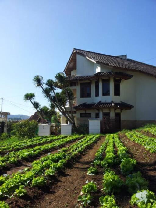 Hotel Notes From The Mountains - Image 1