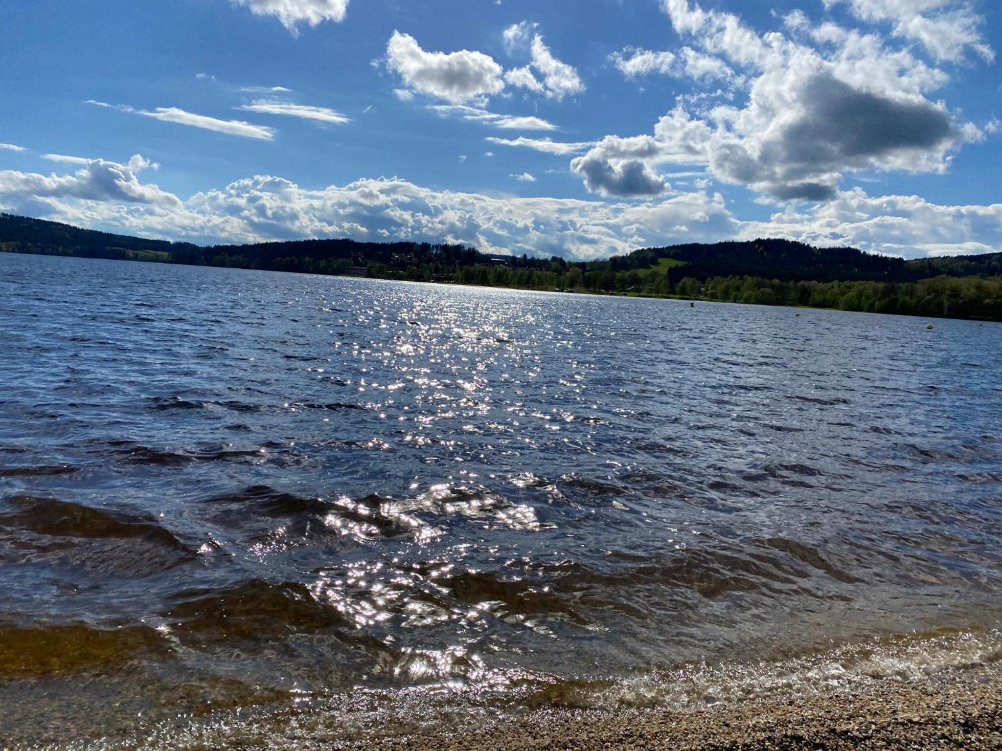 Luxury apartman Lipno