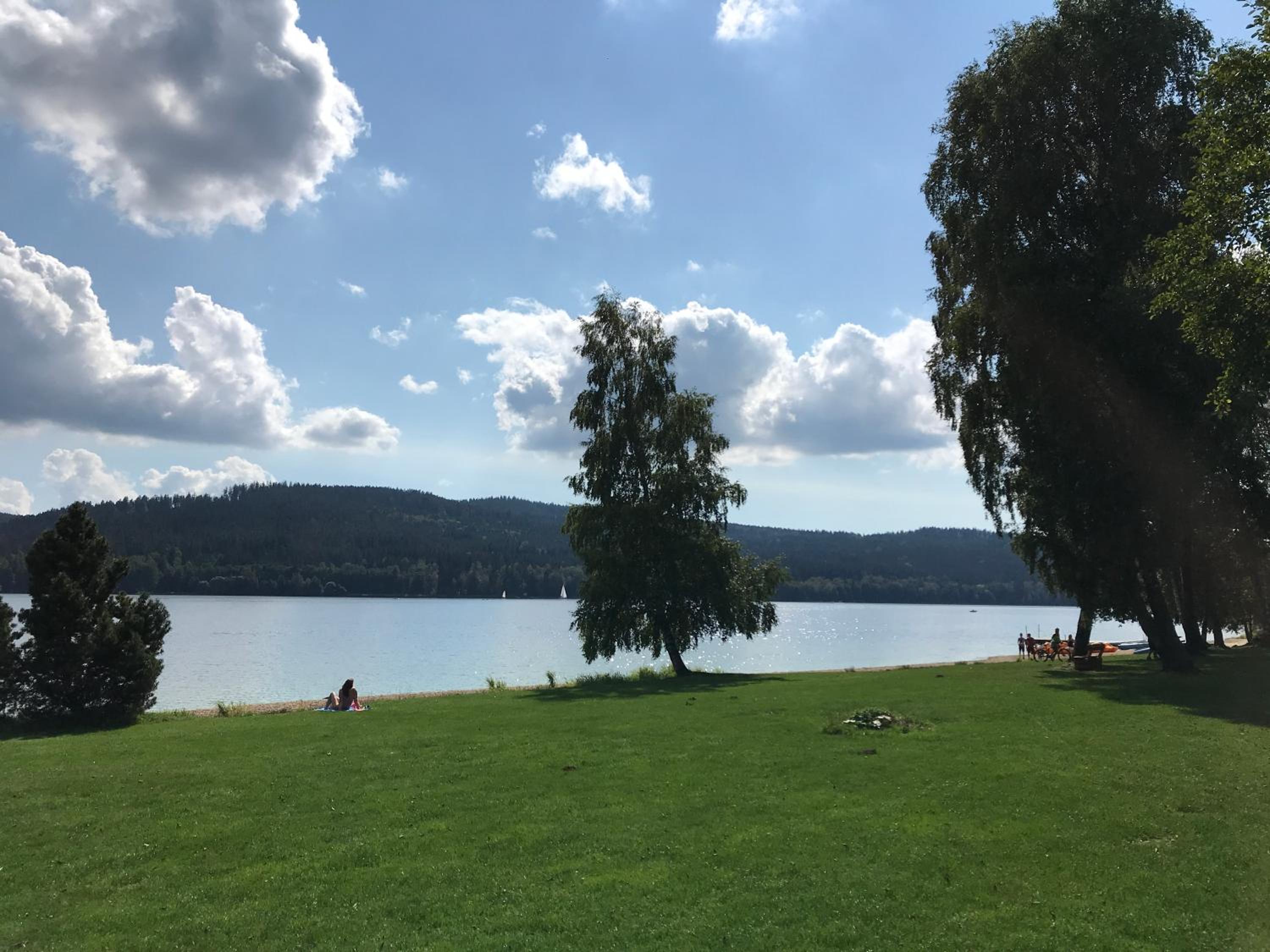 Luxury apartman Lipno