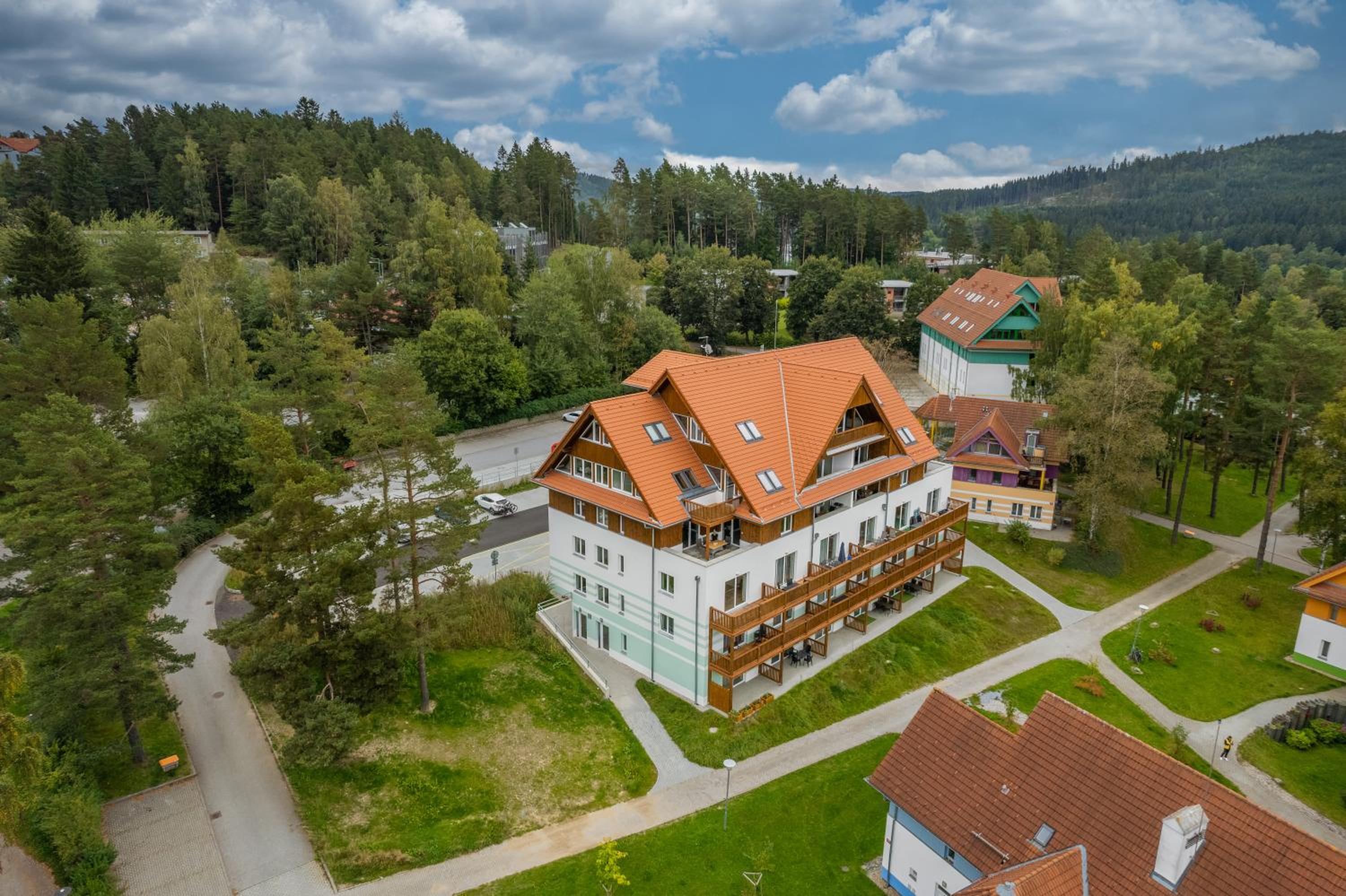 Luxury apartman Lipno