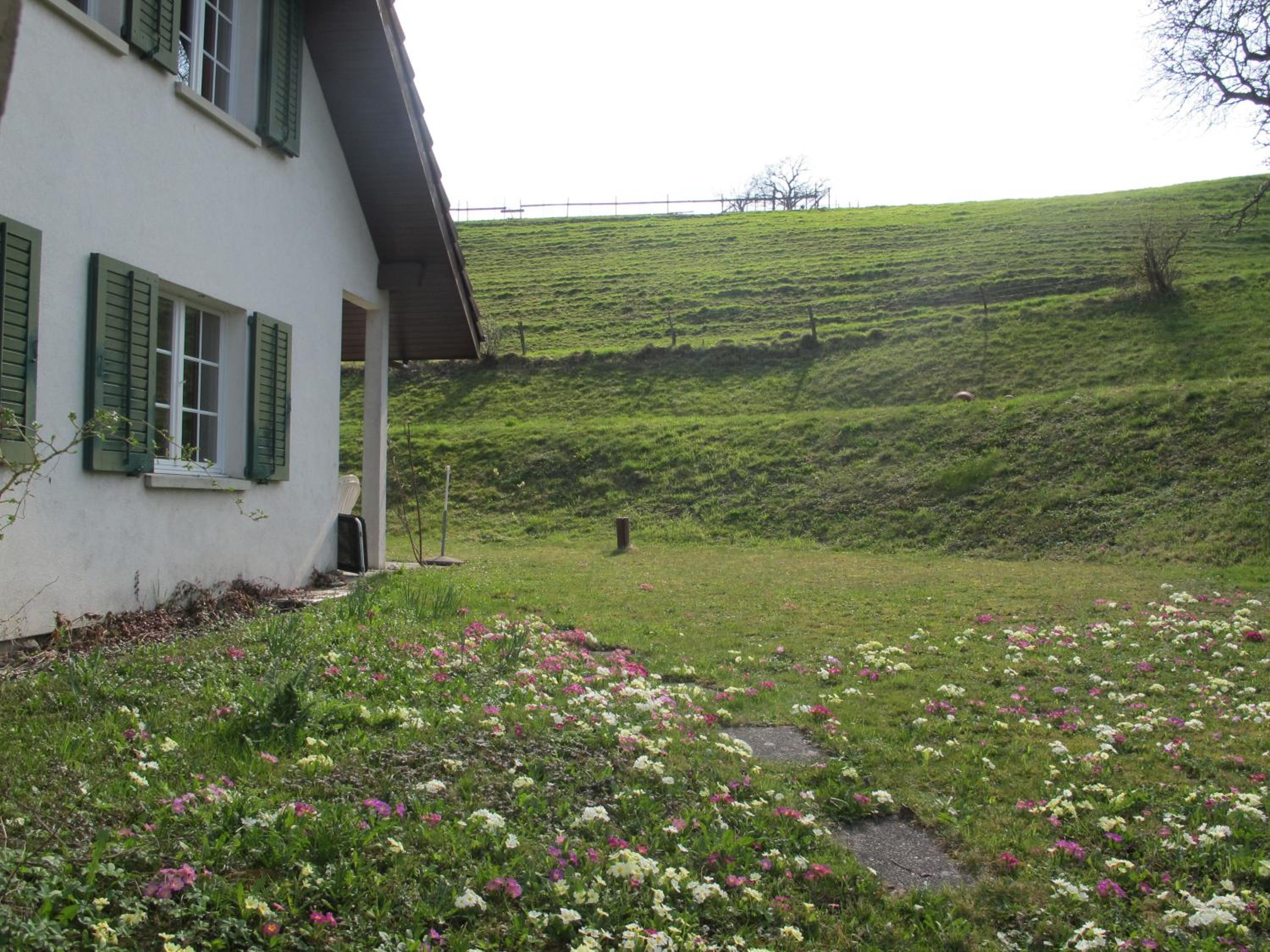 B&B Sigrid Braun-Budde