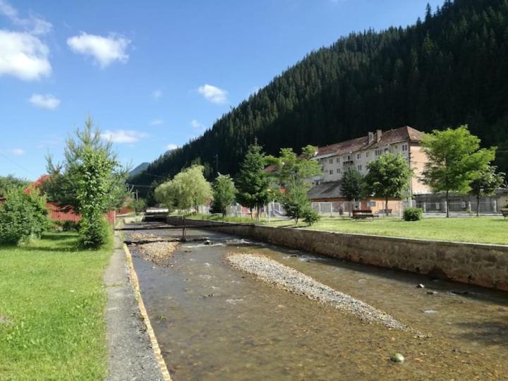 Comoara Hășmașului view 5