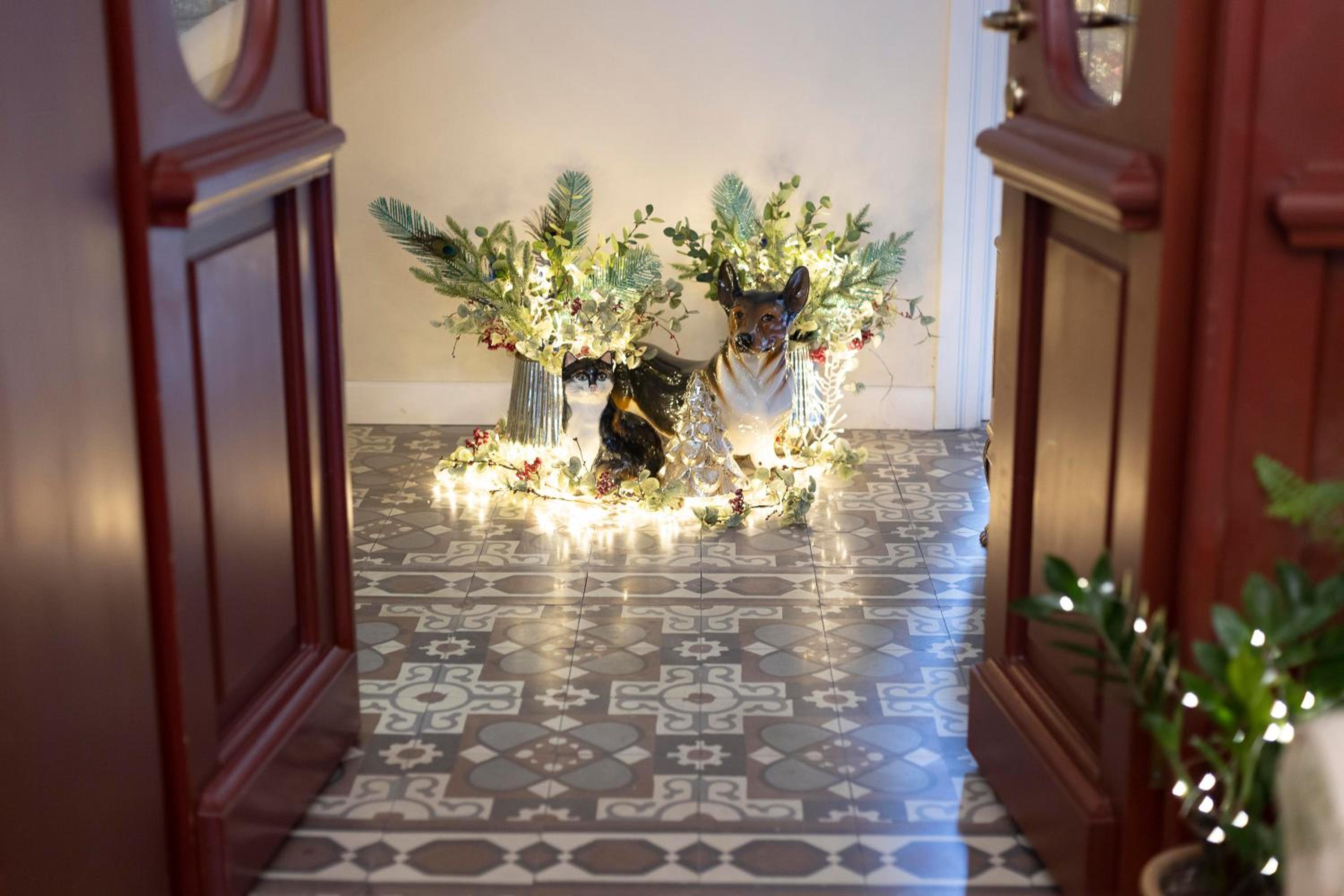 Gatto Perso Luxury Studios And Apartments