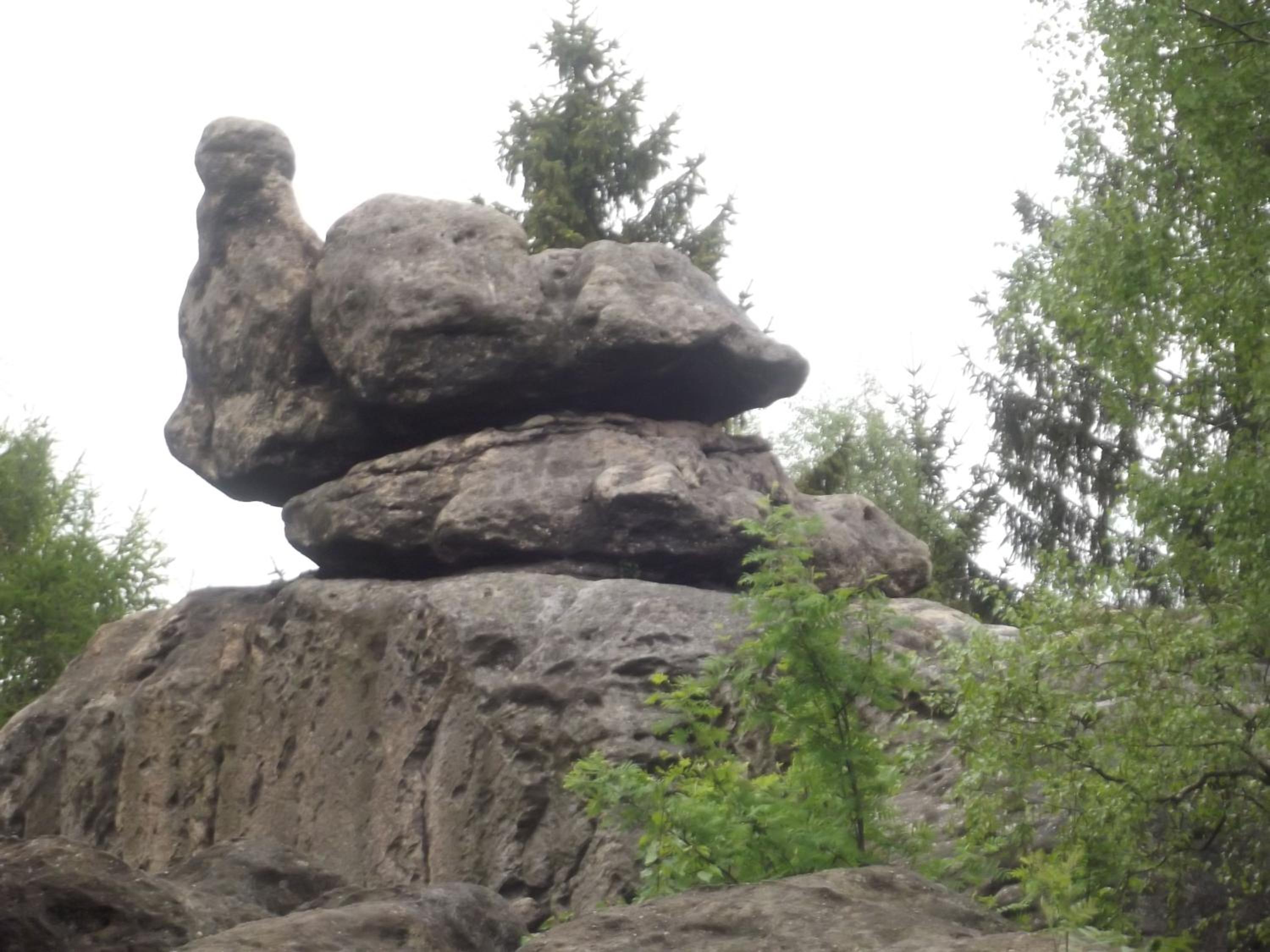 Zum Hecht