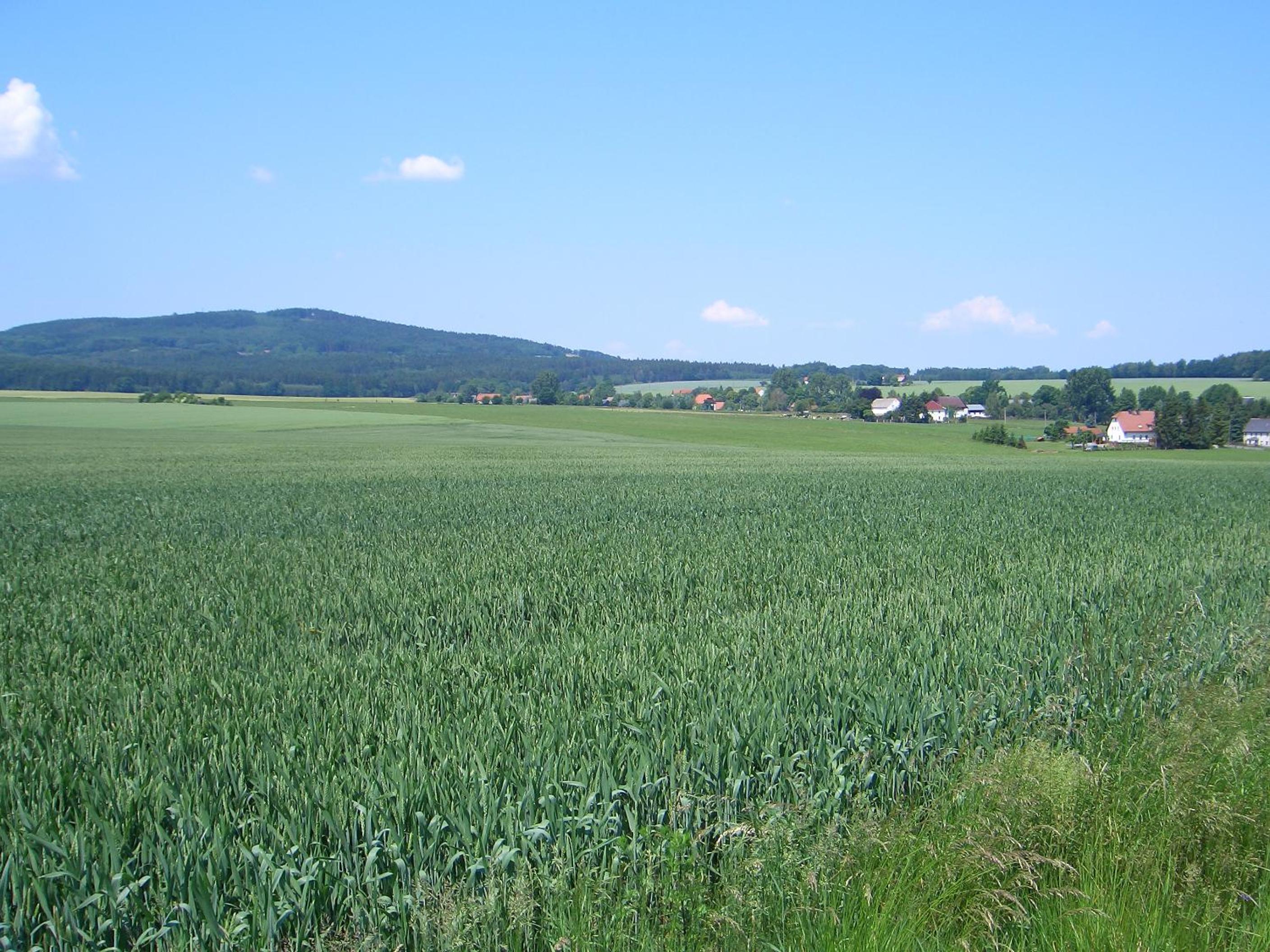 Zum Hecht