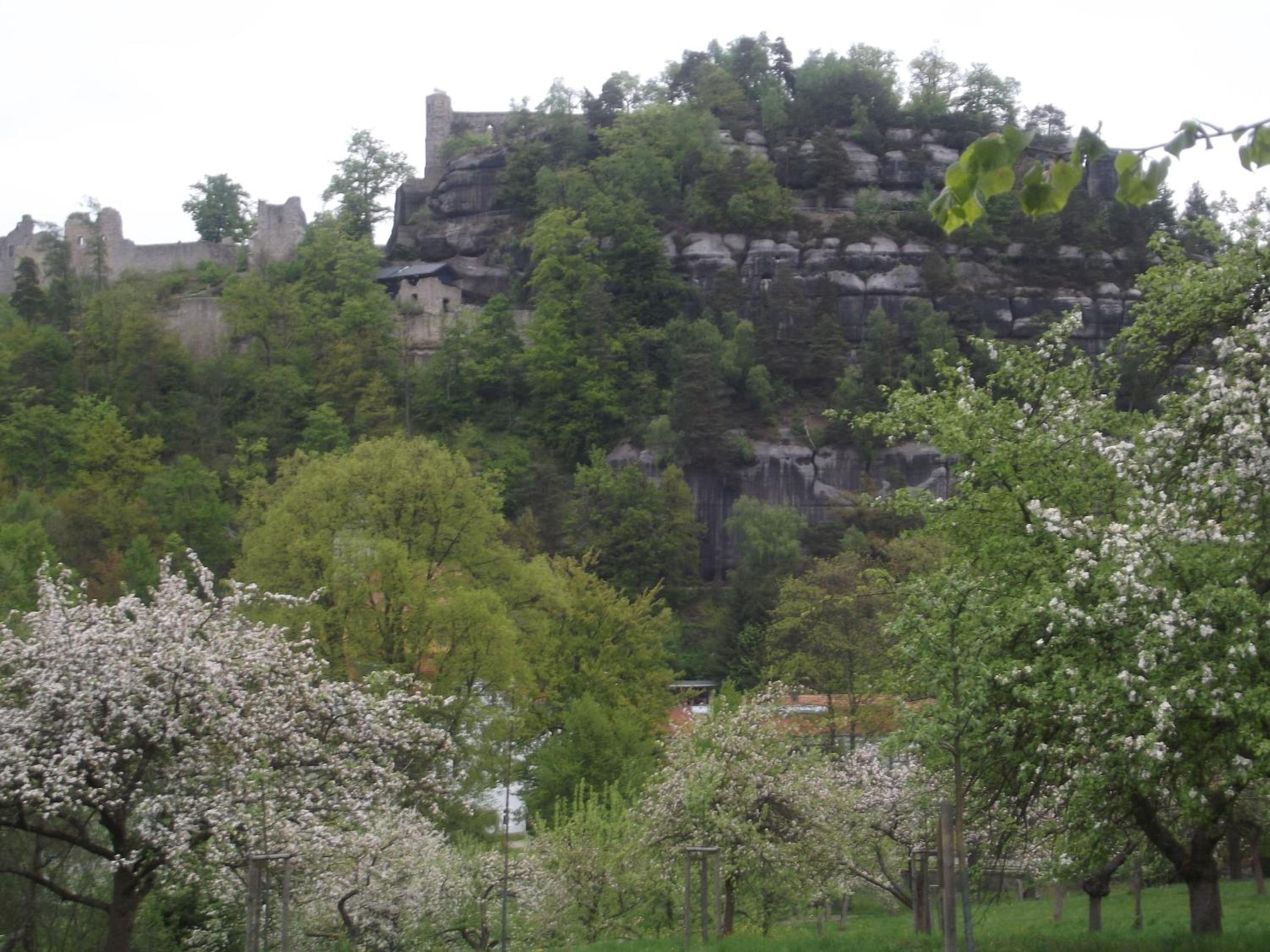 Zum Hecht