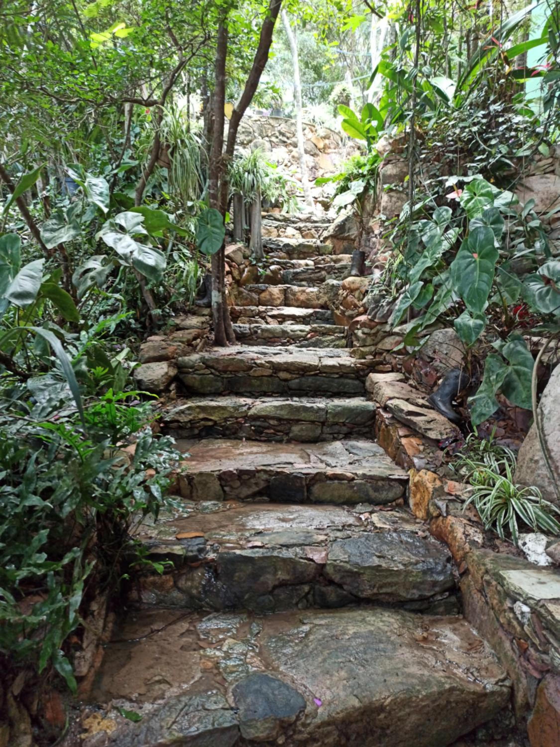 CASA DA MATA descanso e sossego na natureza