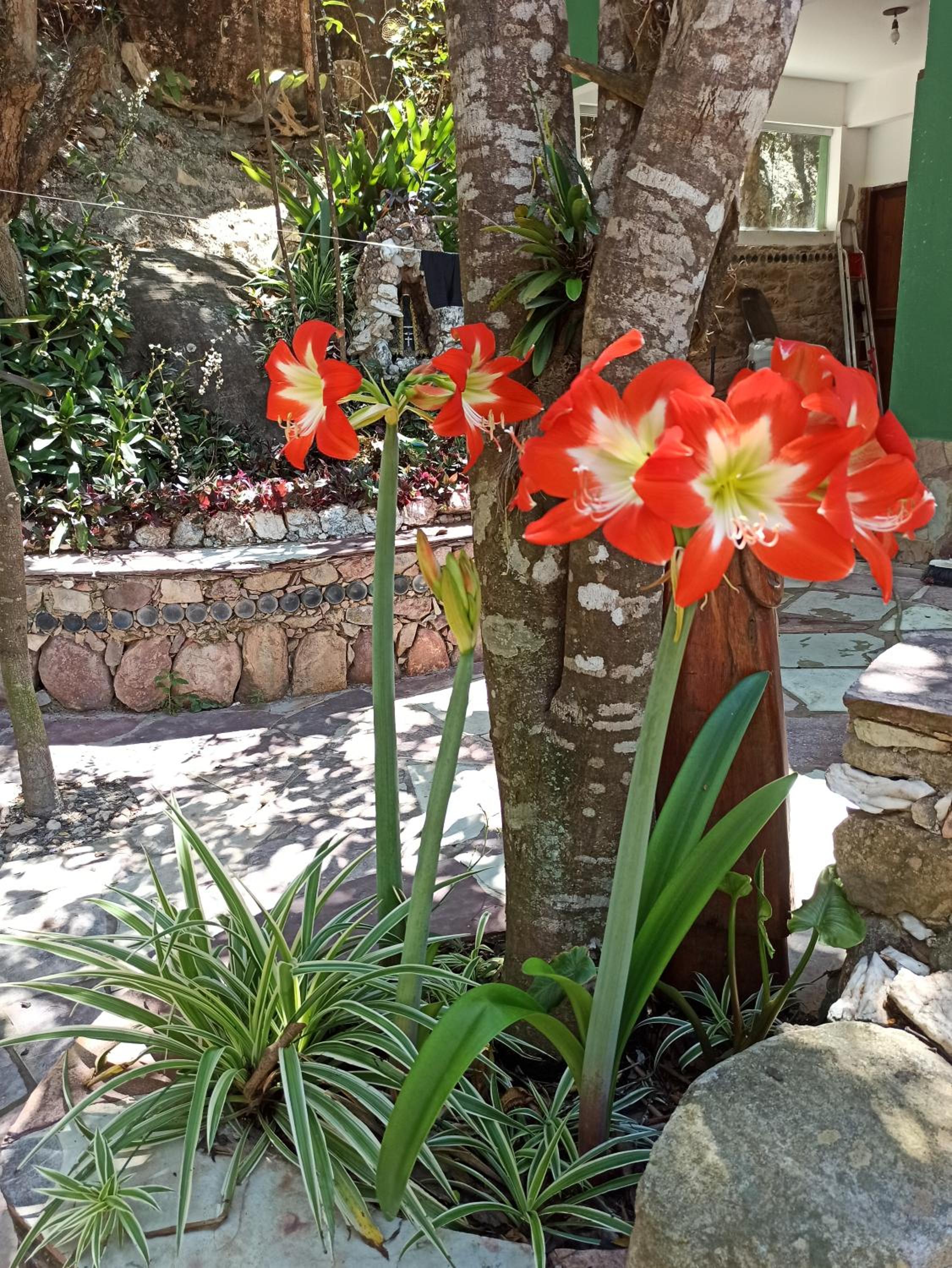 CASA DA MATA descanso e sossego na natureza
