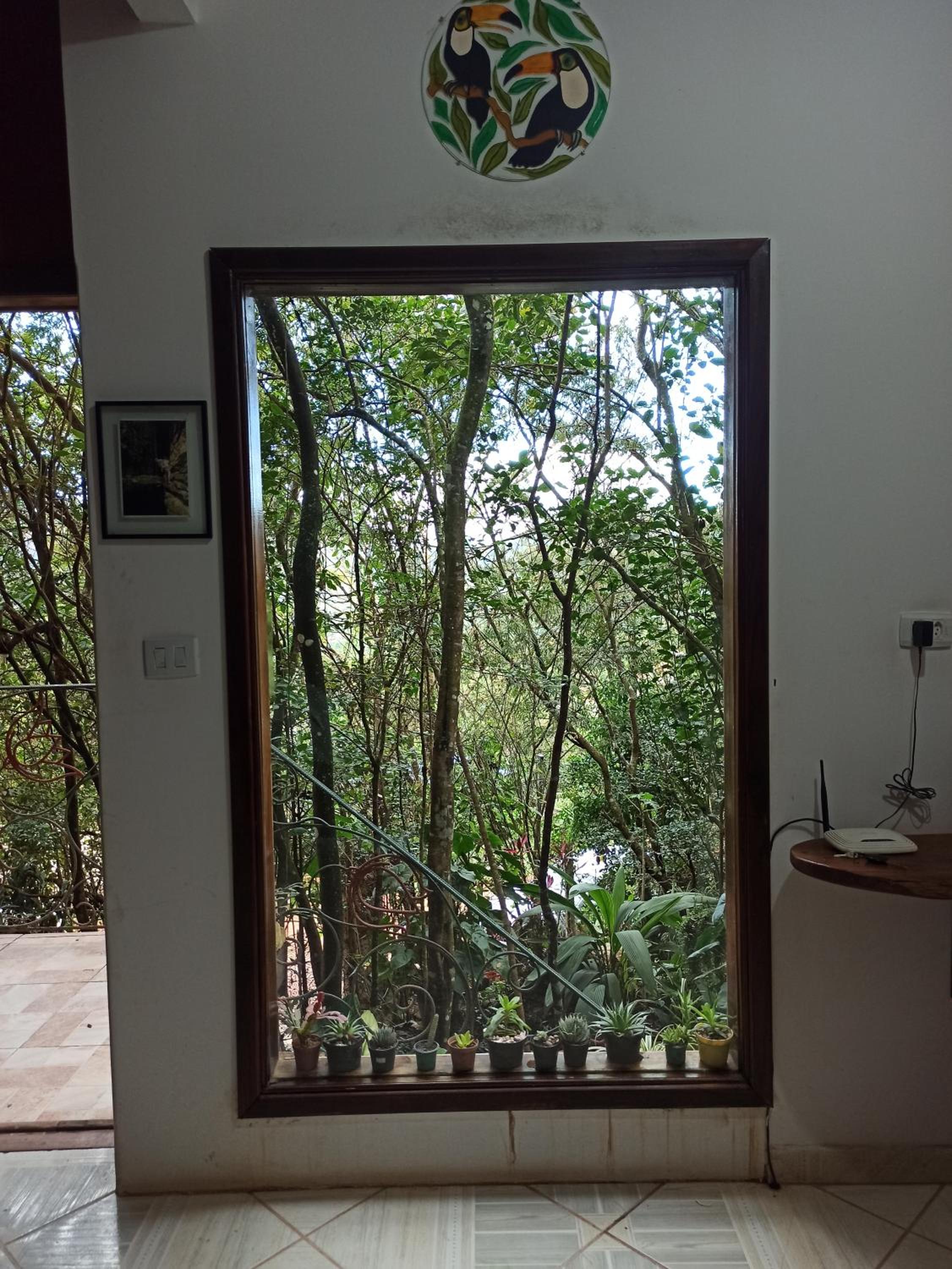 CASA DA MATA descanso e sossego na natureza