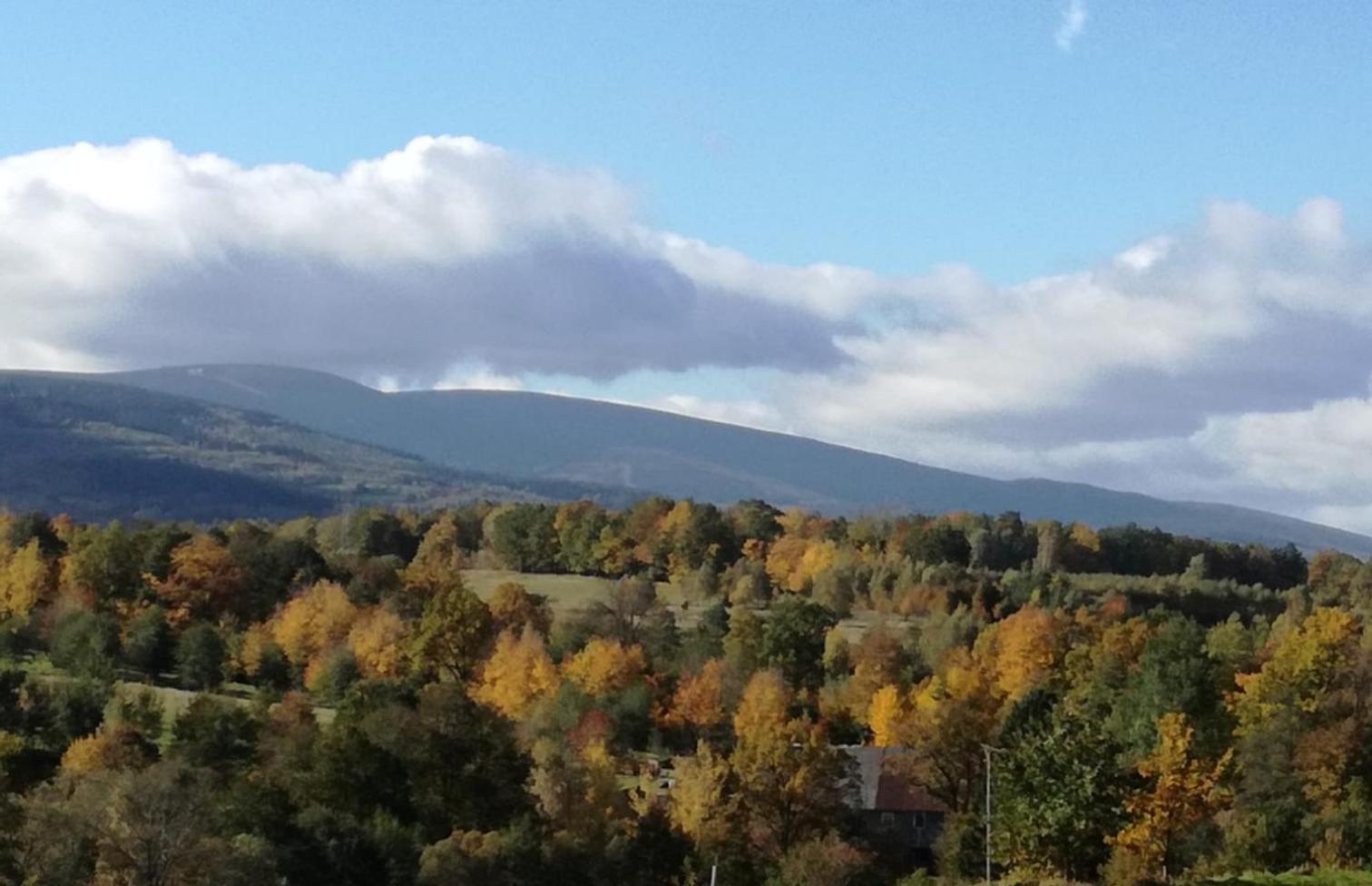 Agroturystyka Kruk view 4