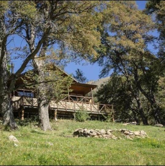 Alumine River Ranch - Image 4