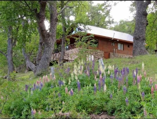 Alumine River Ranch