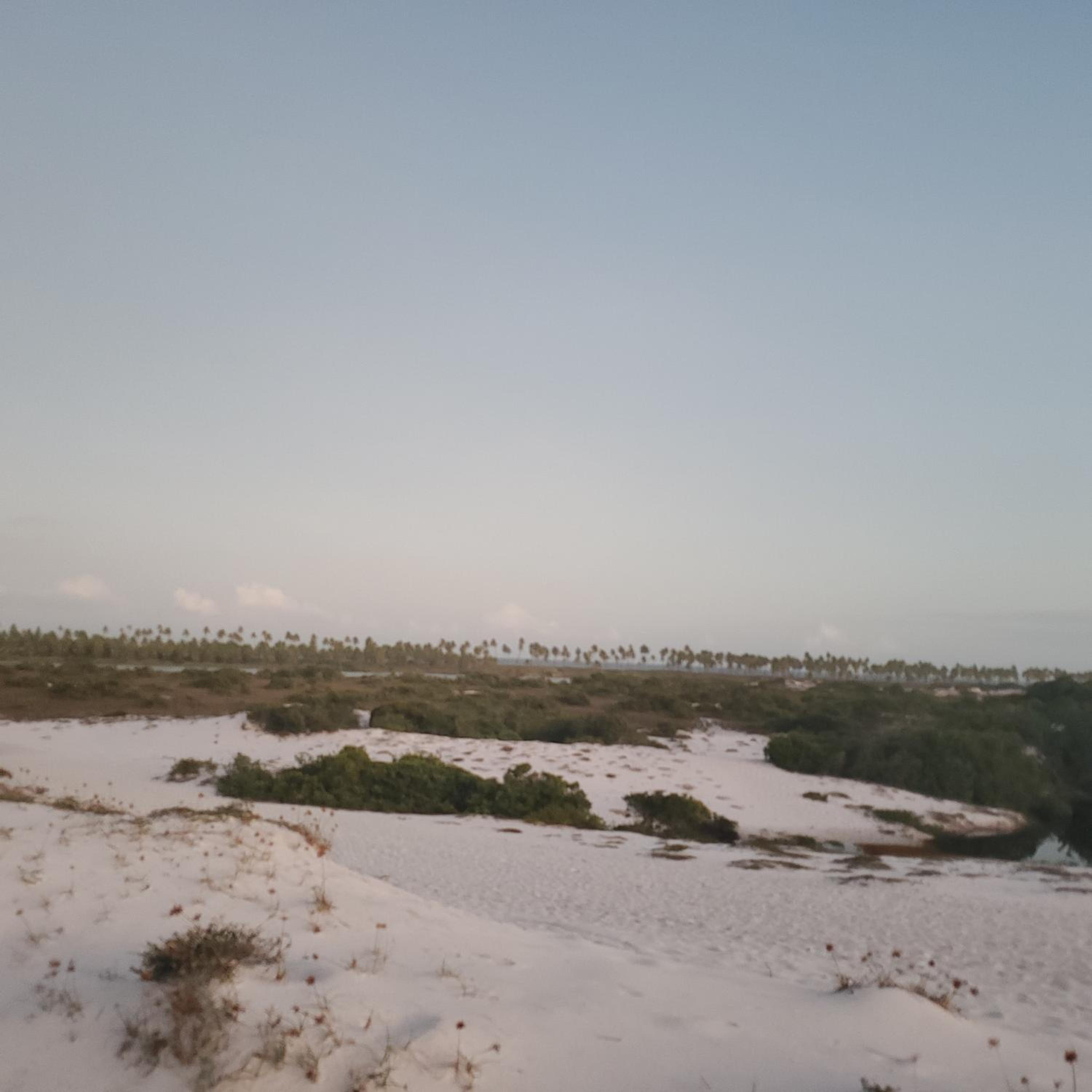 Estrela Antônia - Praia de Santo Antônio