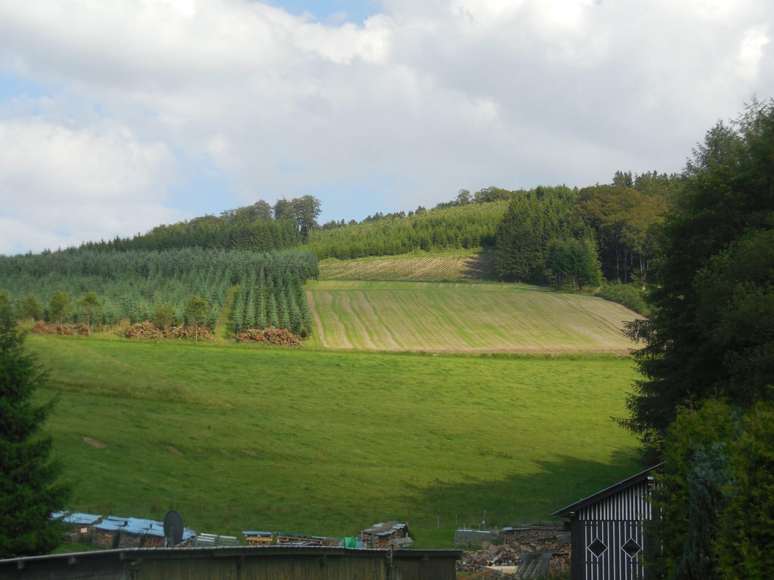 Photo 12