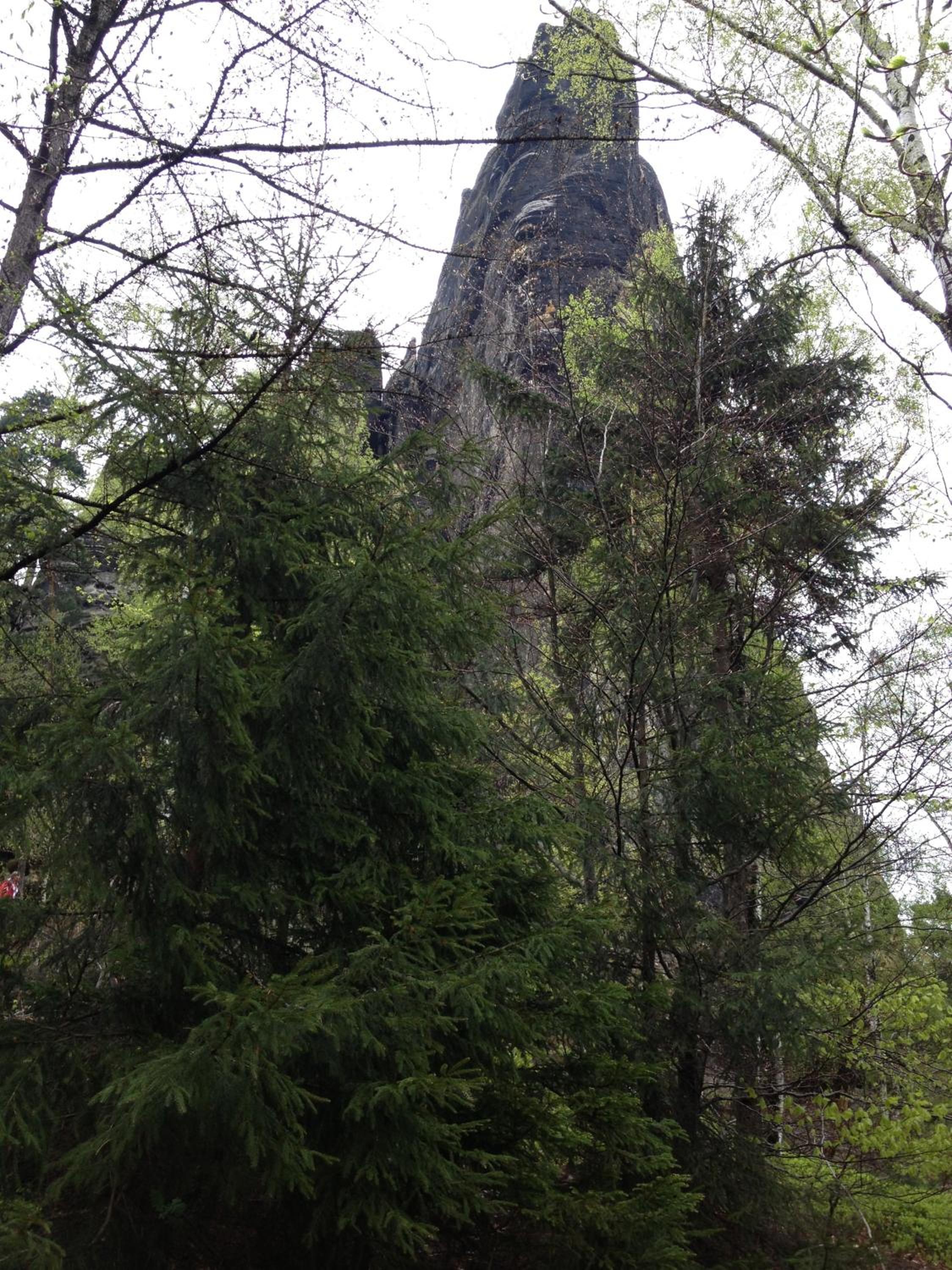 Photo 21