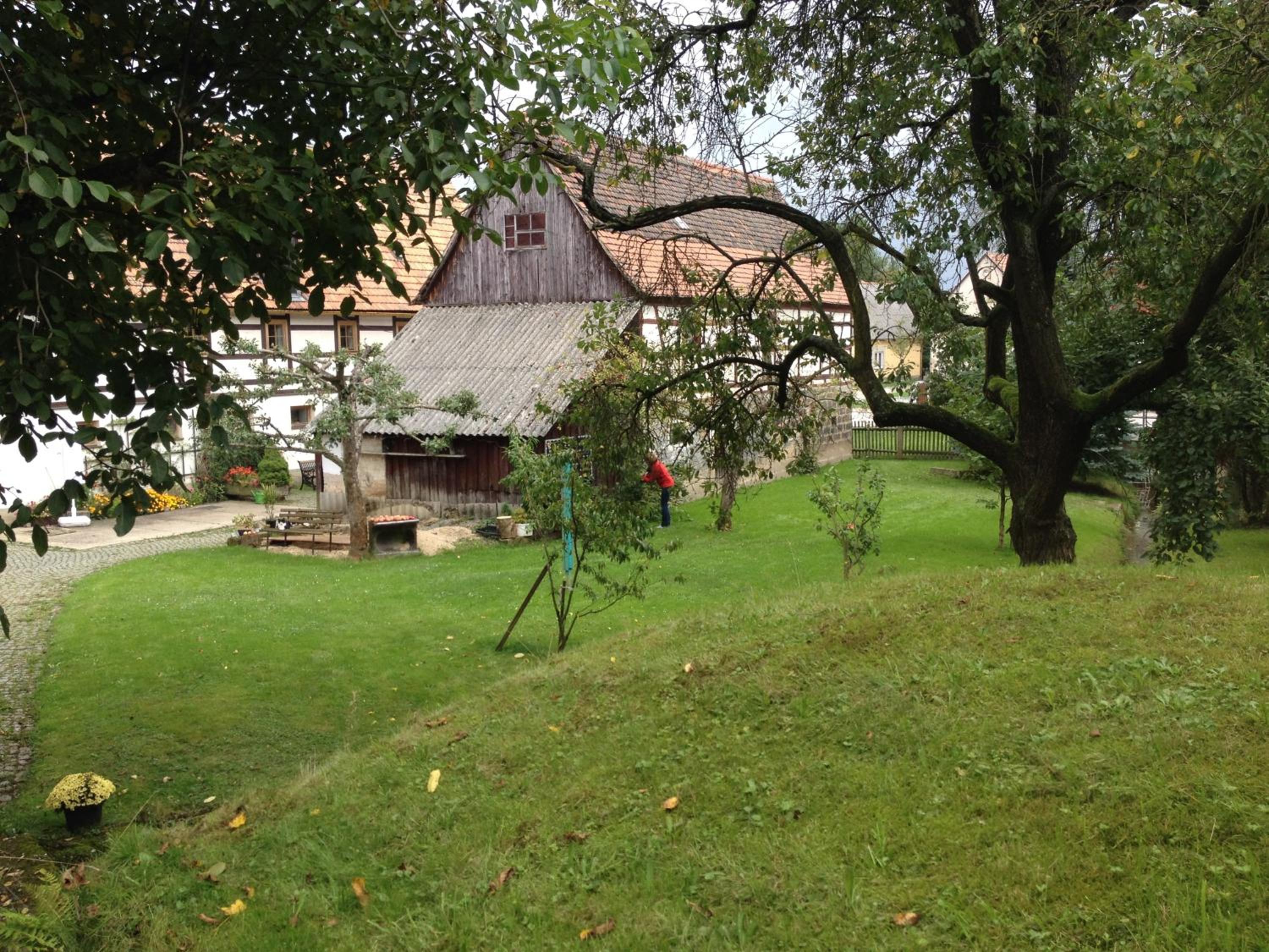 Photo 13