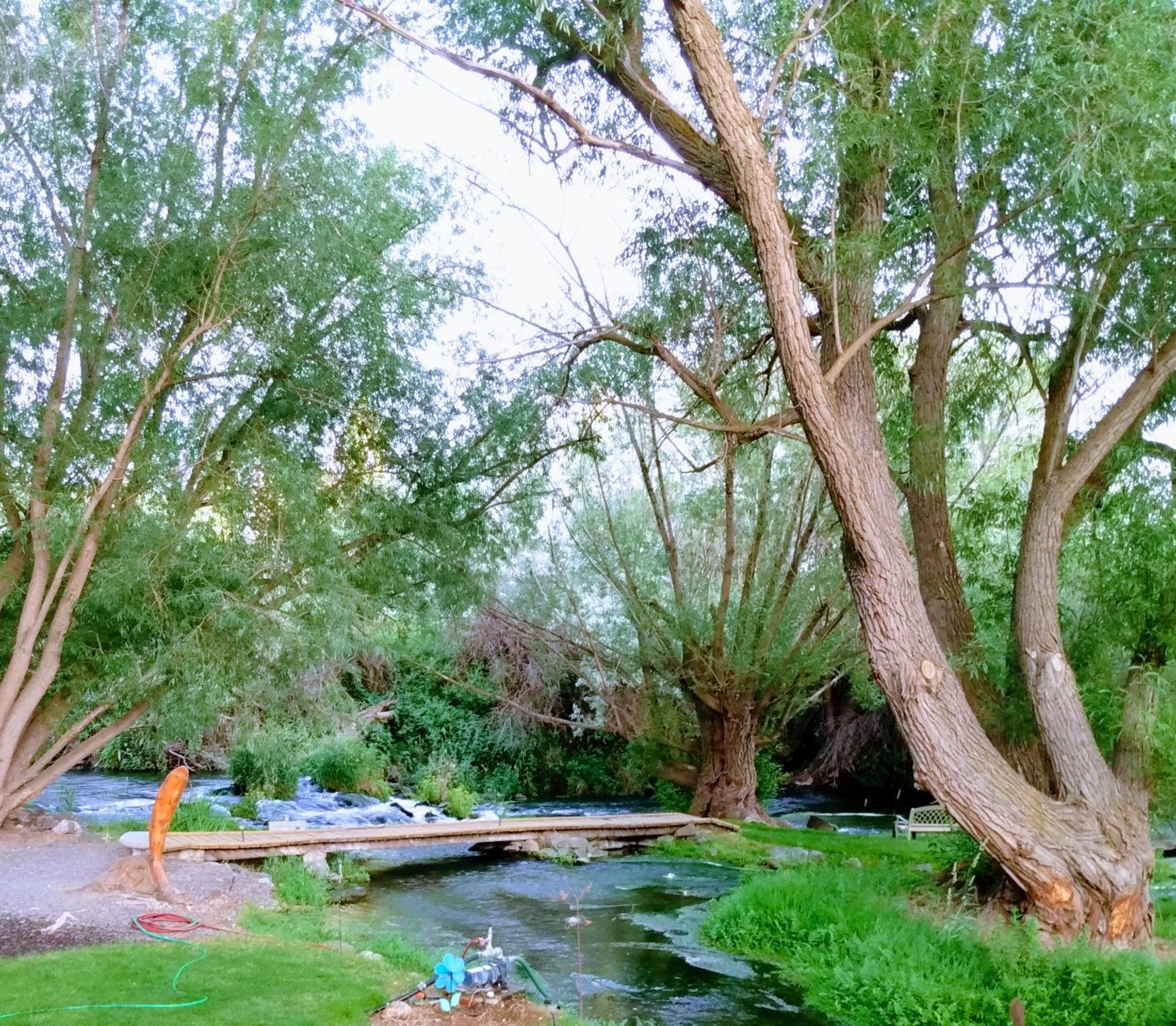 Billingsley Creek