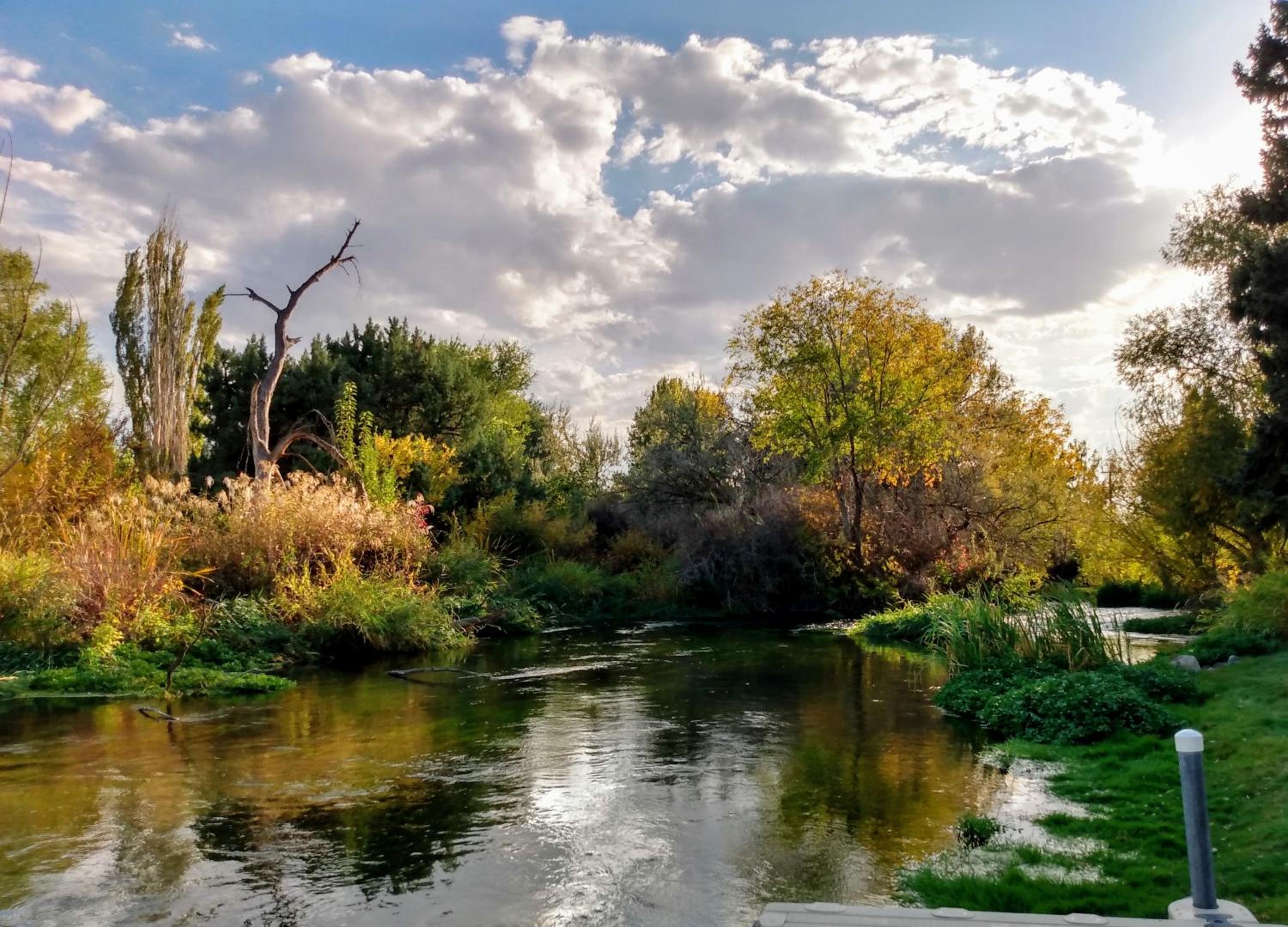 Billingsley Creek