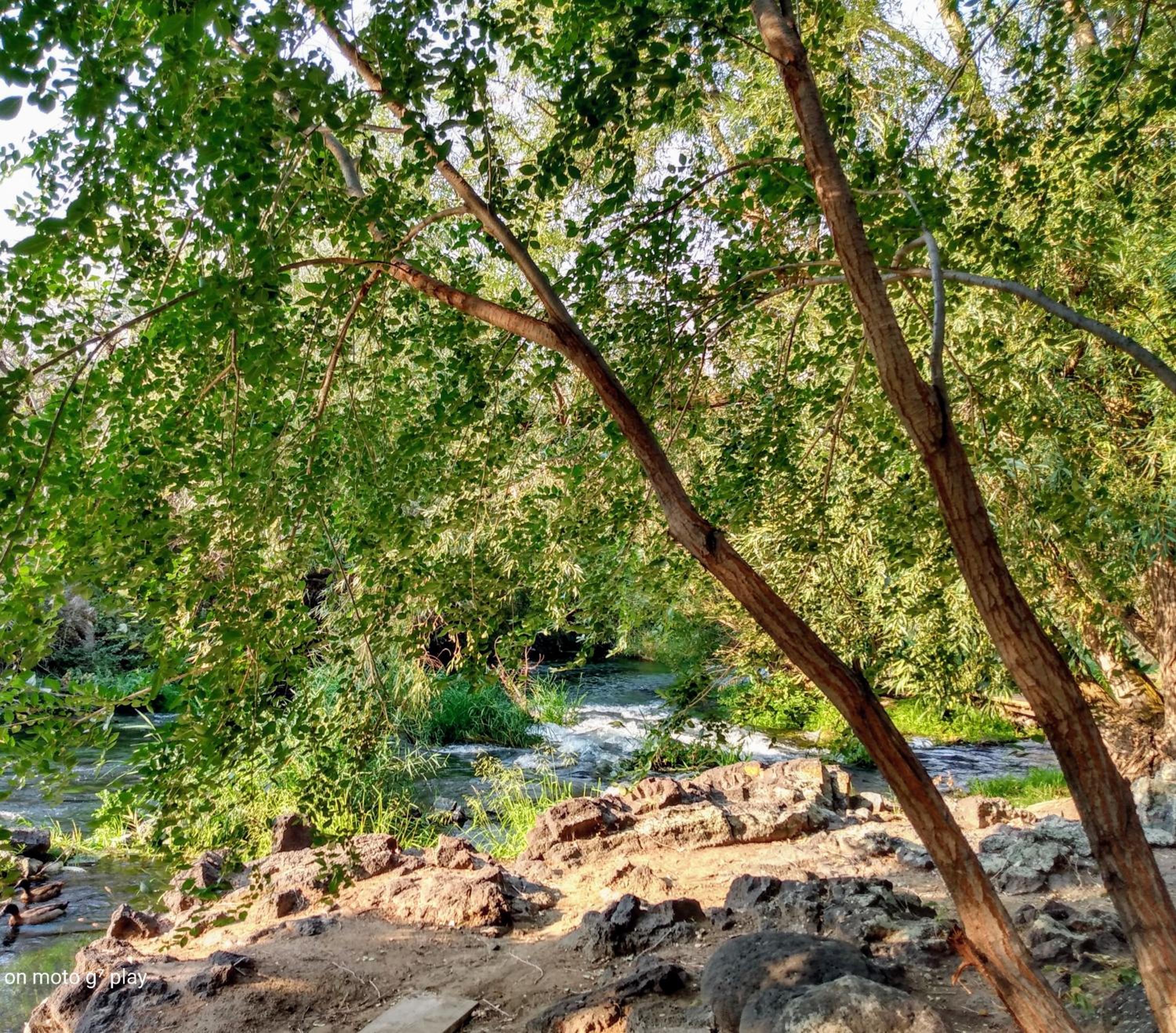 Billingsley Creek