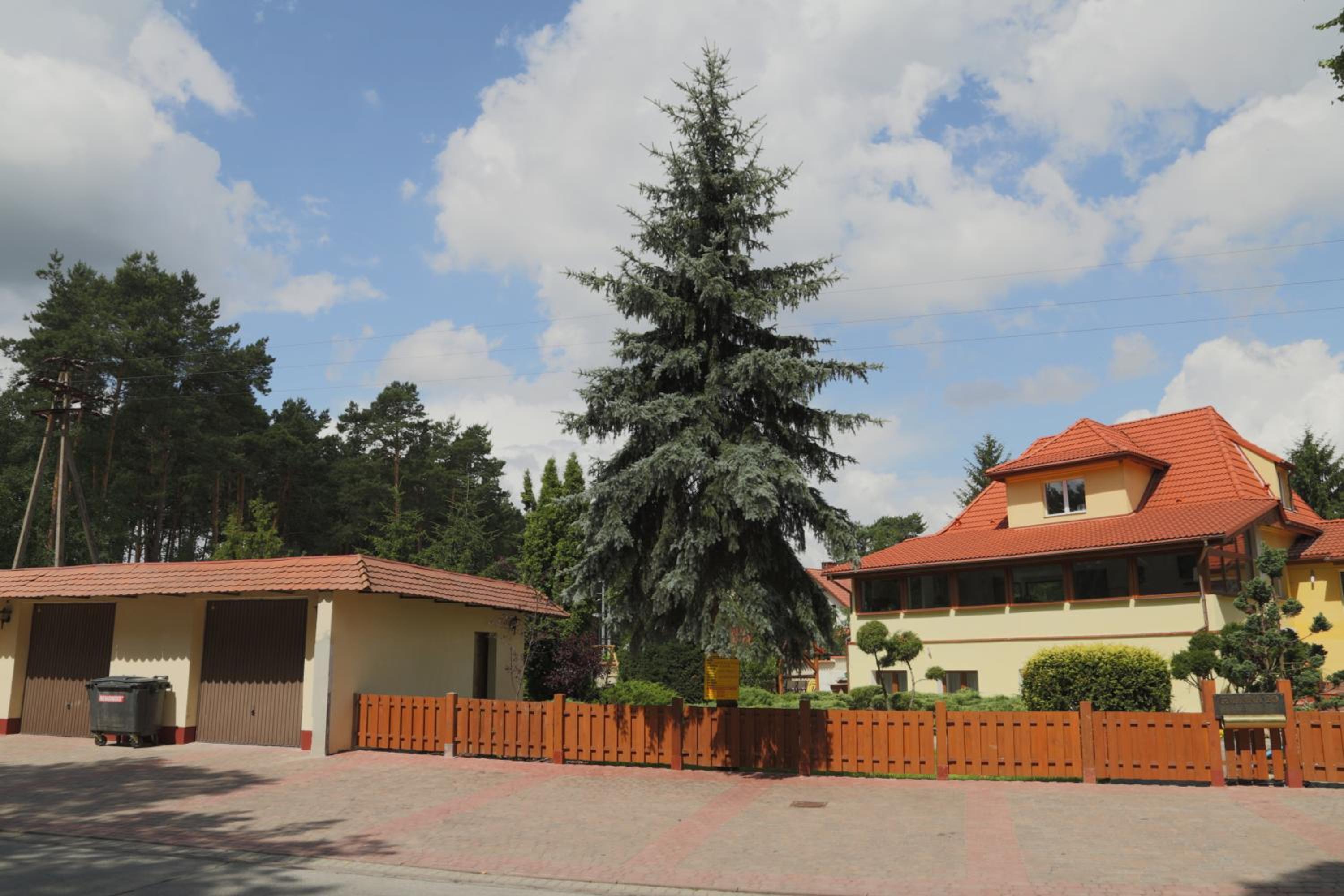 Photo 8