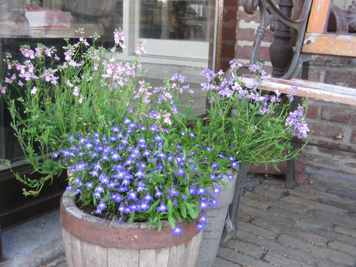B&B Huize Bex