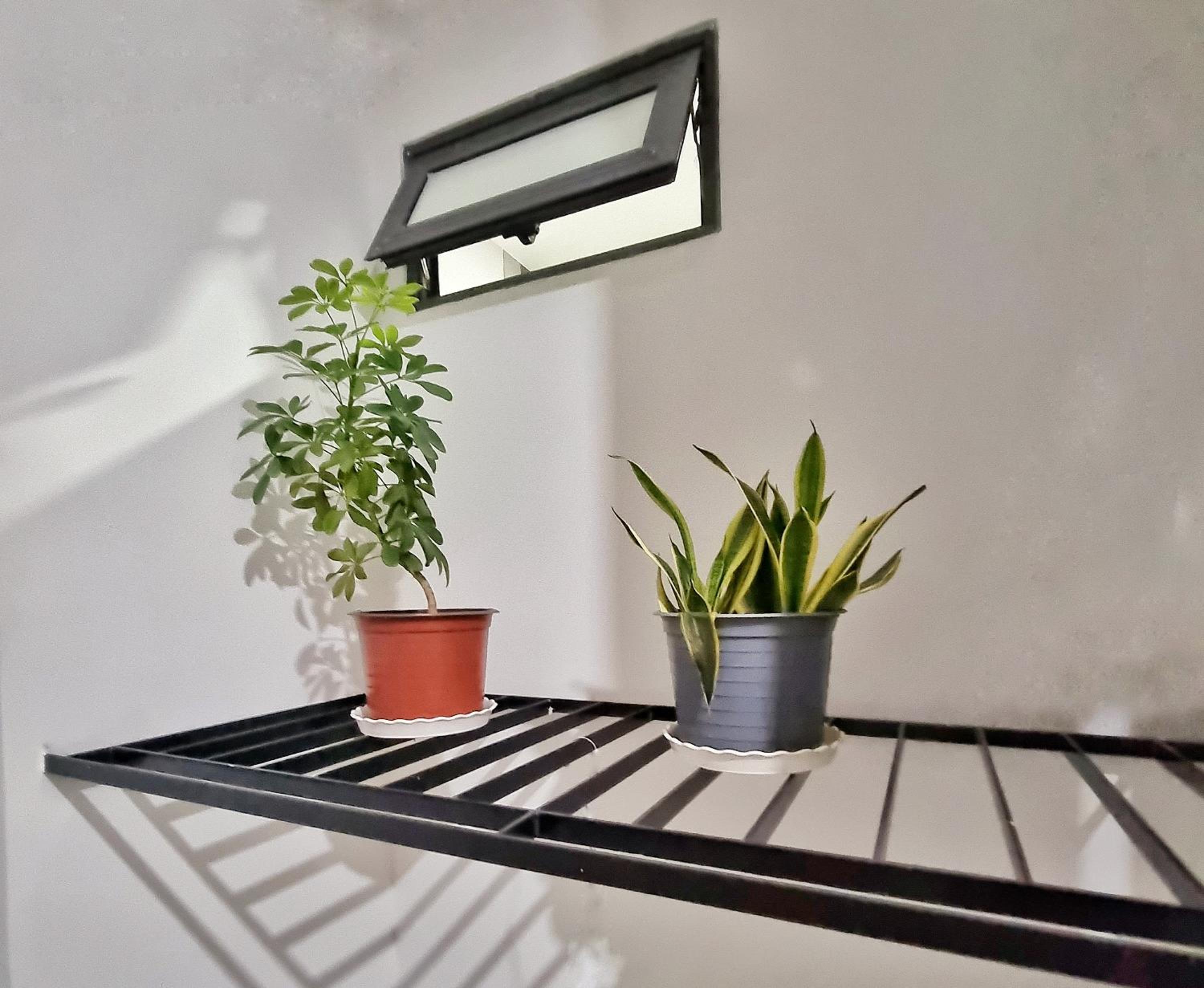 Mai Home - Apartment & Homestay